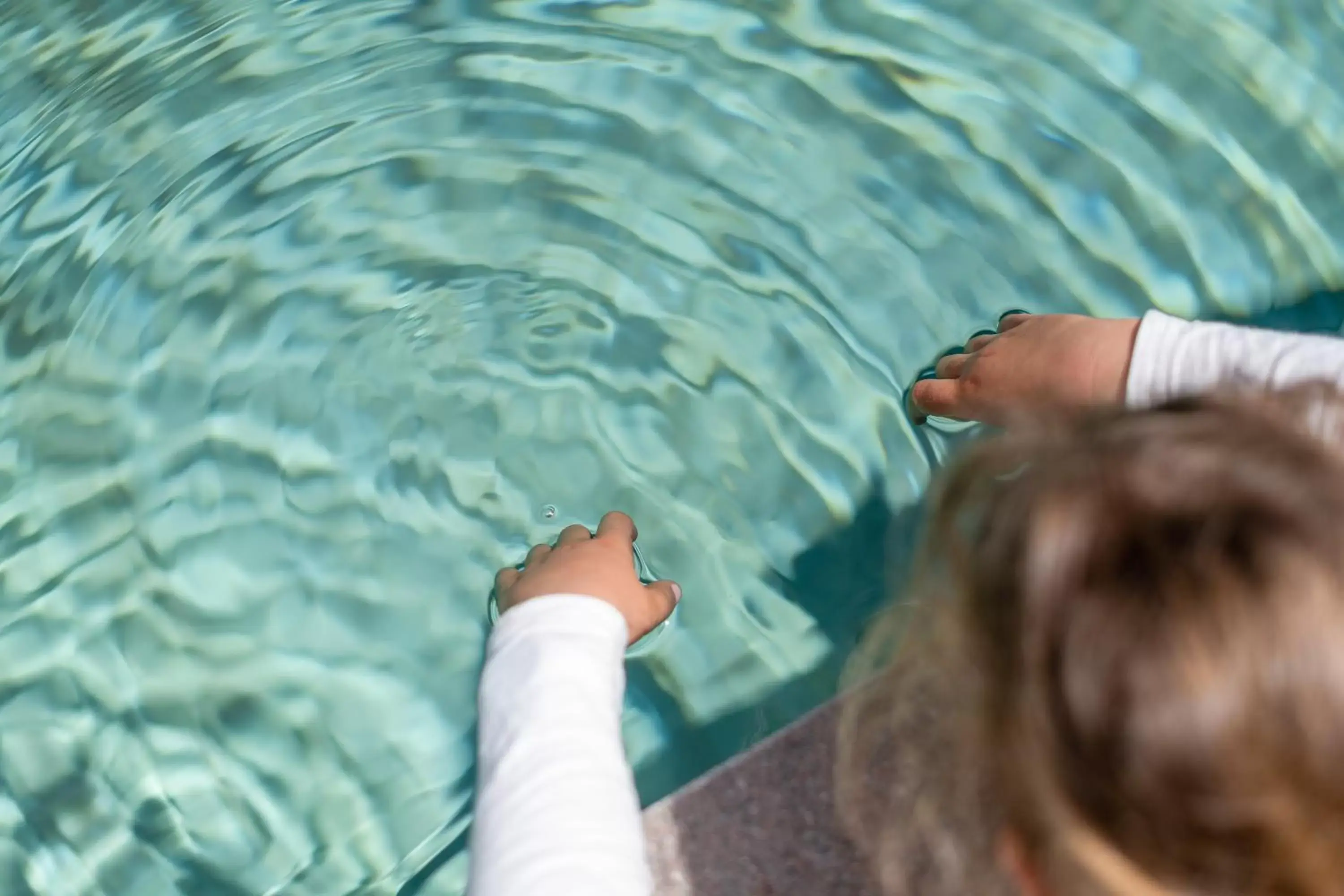 Swimming pool, Other Animals in Residence Garni Hotel Vineus