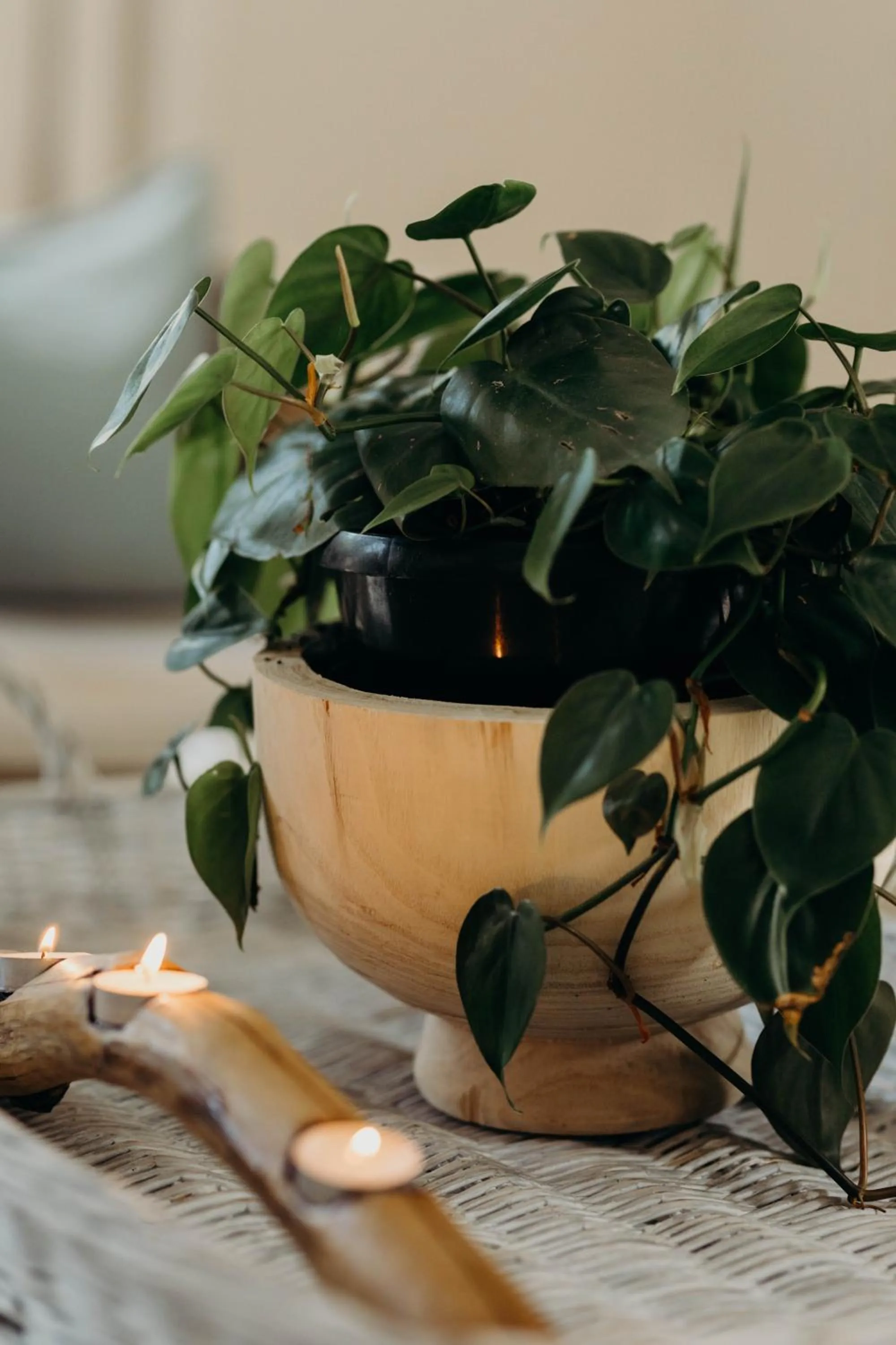 Communal lounge/ TV room in The Robberg Beach Lodge - Lion Roars Hotels & Lodges