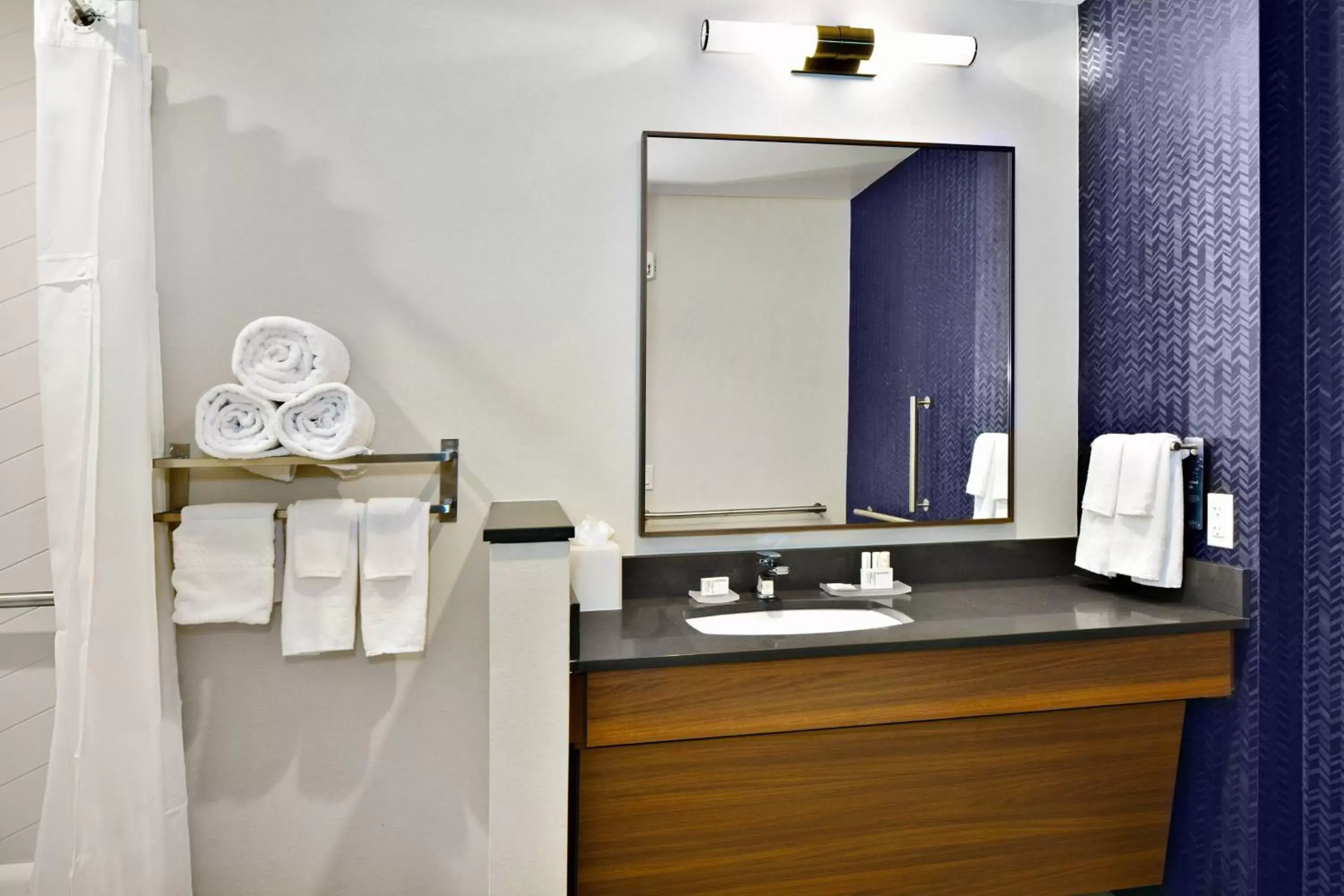 Bathroom in Fairfield by Marriott Inn & Suites Deerfield Beach Boca Raton