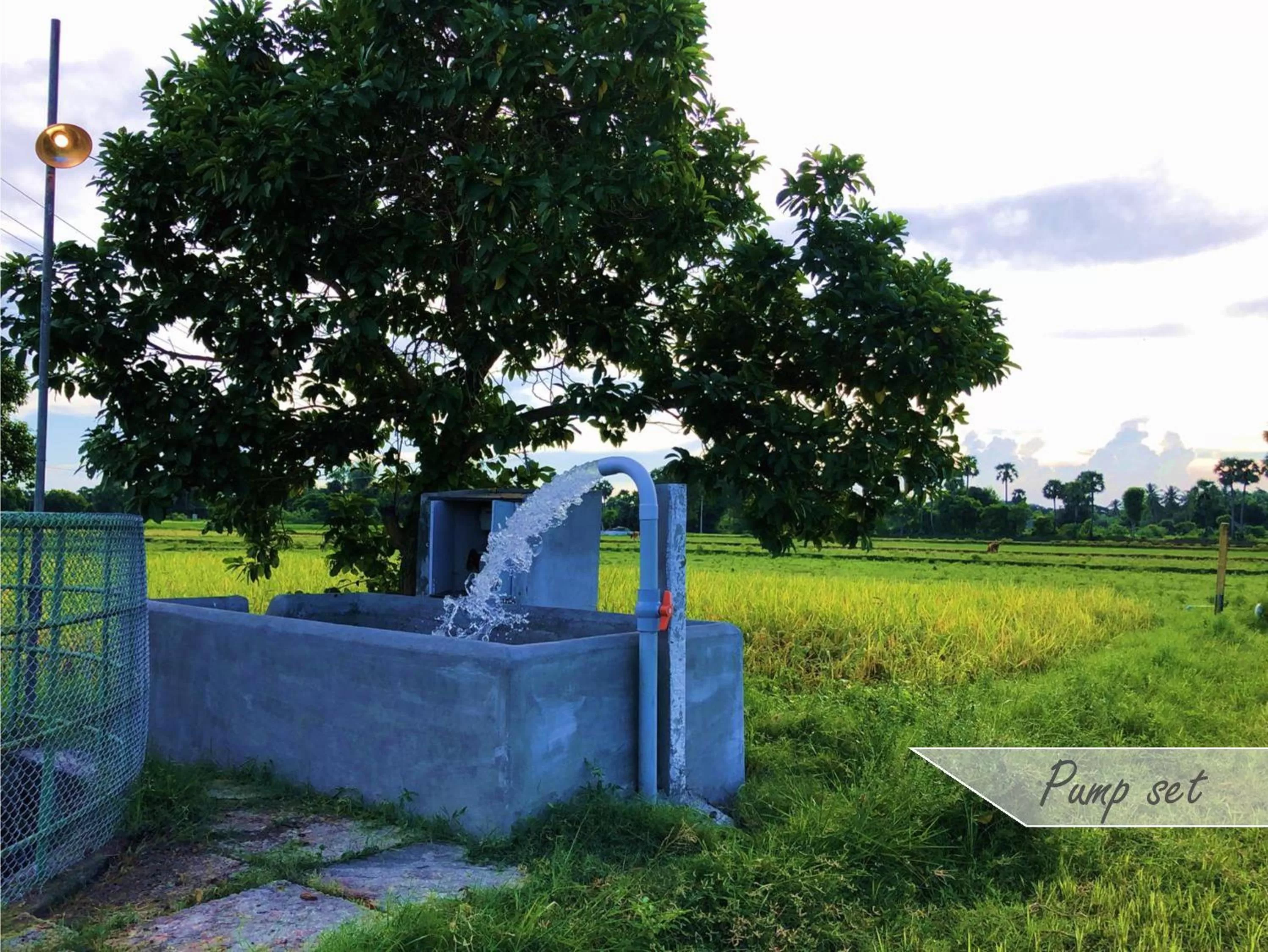 Activities in Marutham Village Resort