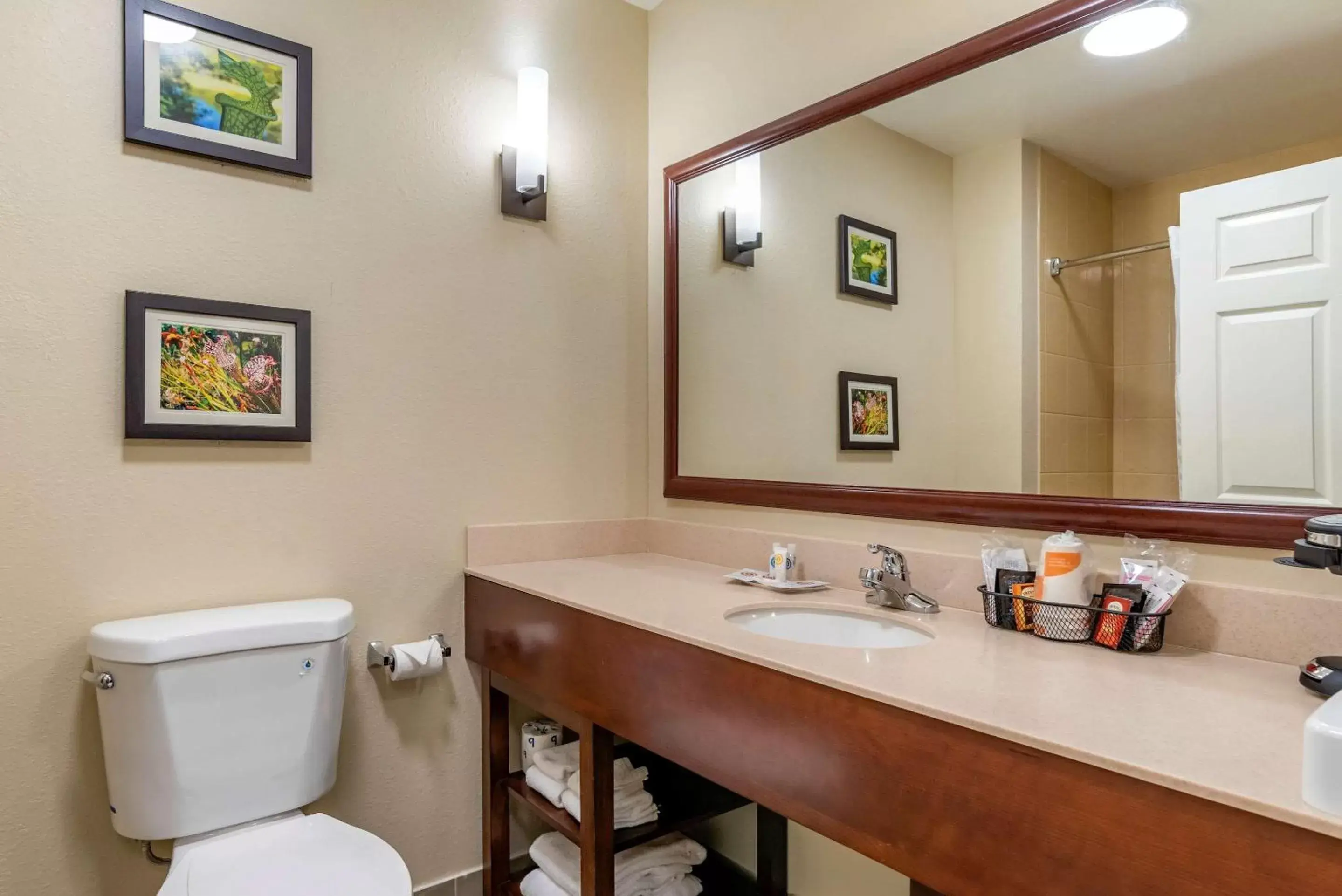 Bathroom in Comfort Suites Niceville Near Eglin Air Force Base