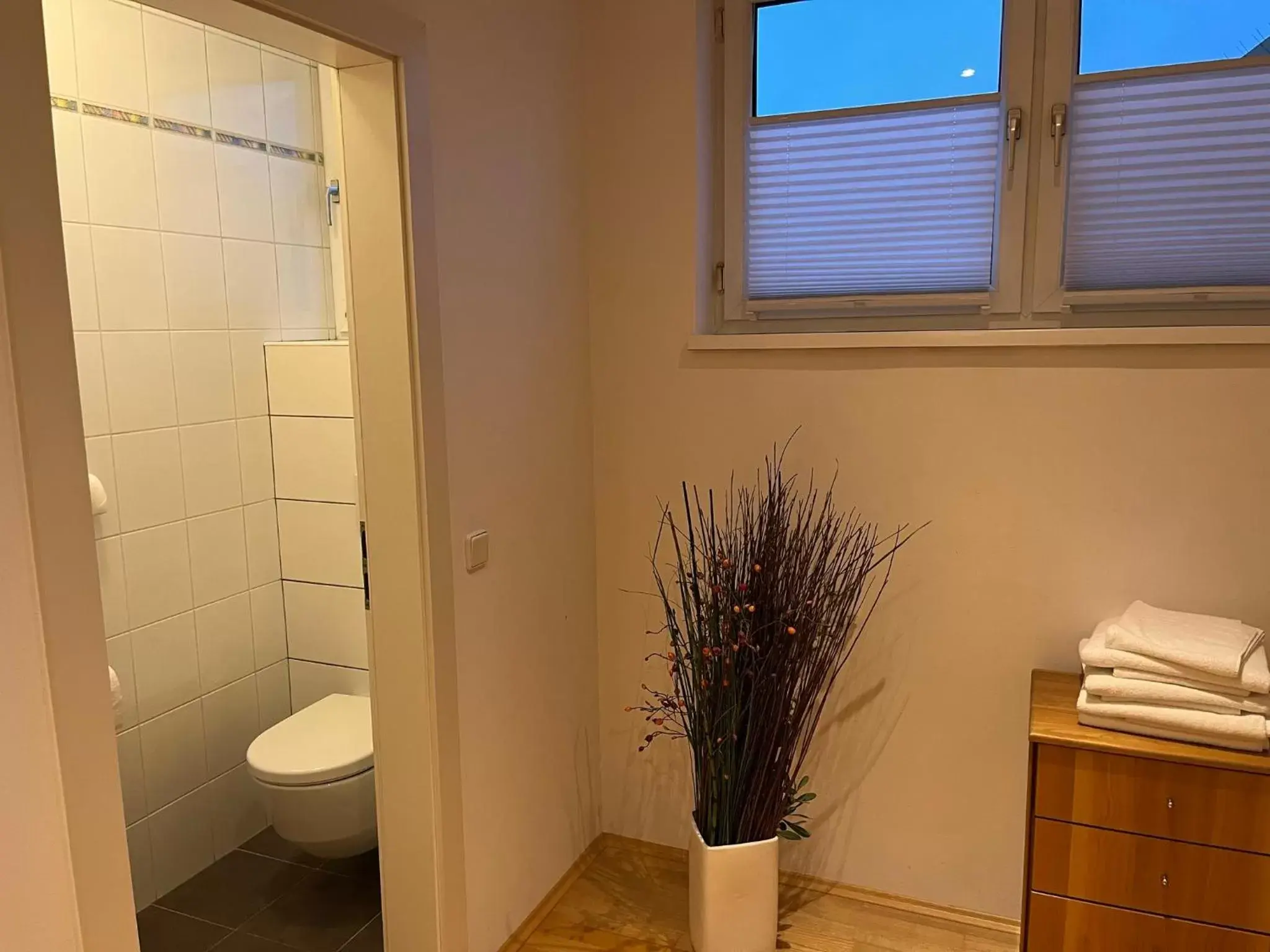 Toilet, Bathroom in Tinschert Hotel-Restaurant-Partyservice