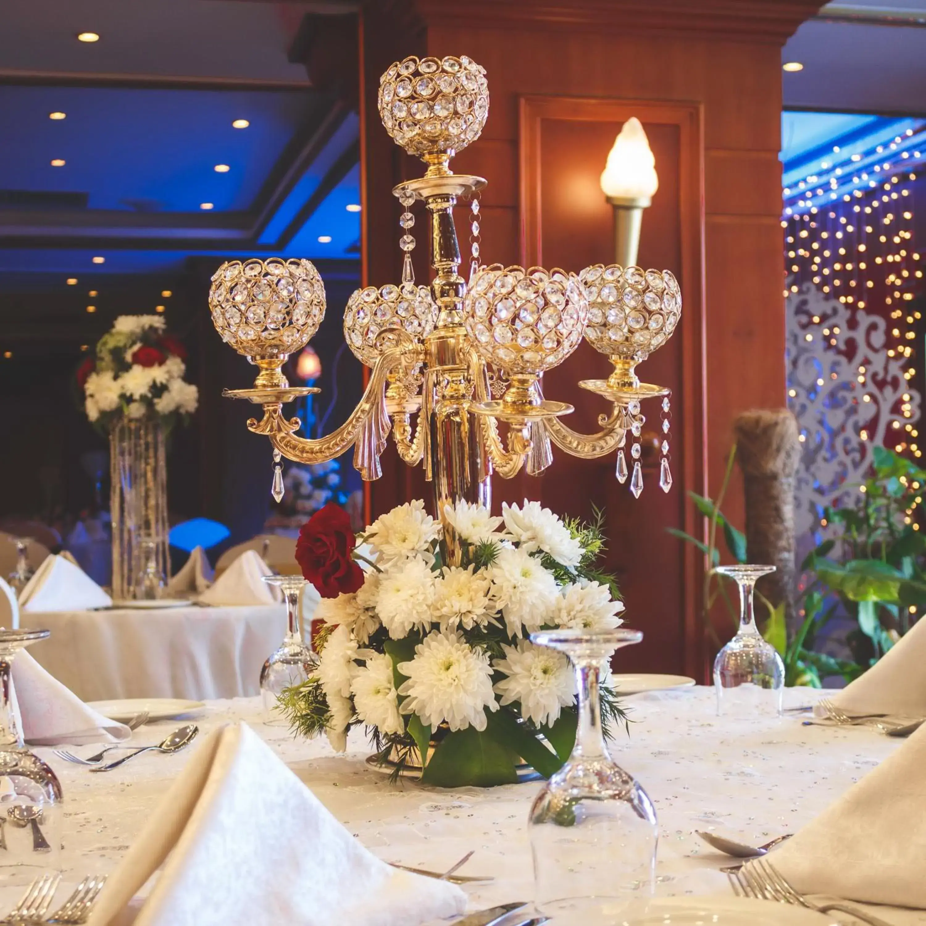 Banquet Facilities in Romance Alexandria Hotel