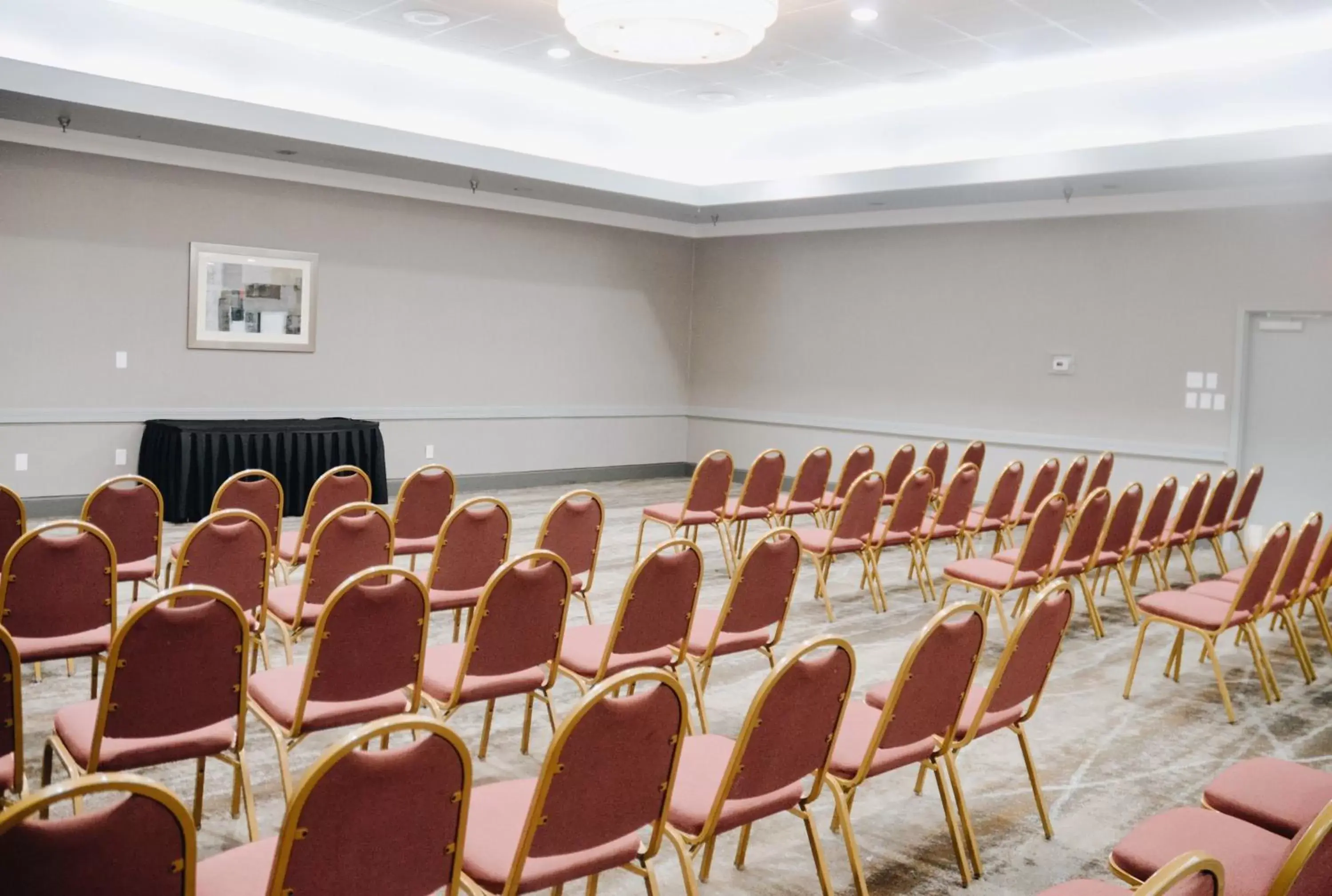 Meeting/conference room in Holiday Inn Lumberton, an IHG Hotel