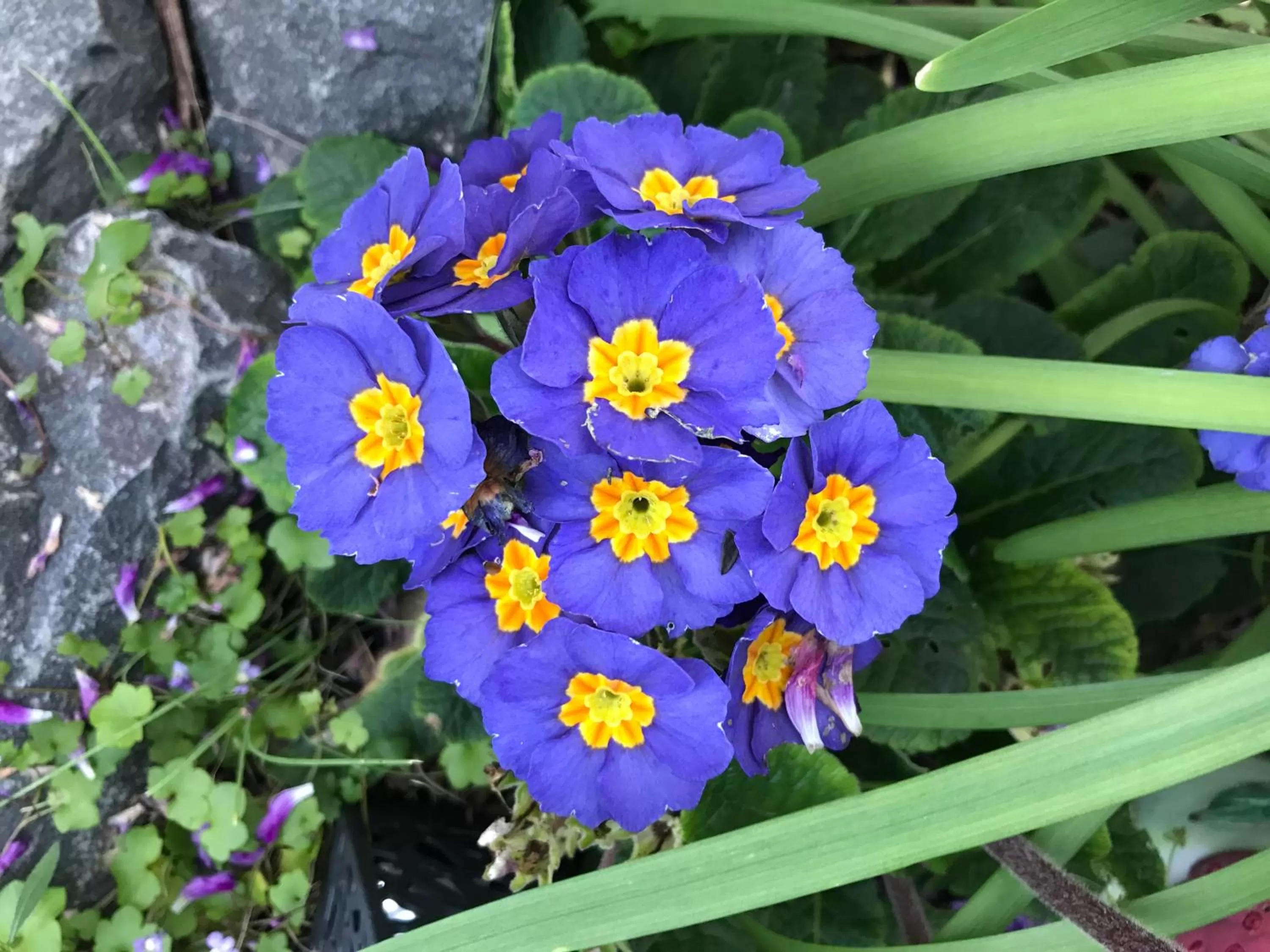 Hillside Bed and Breakfast