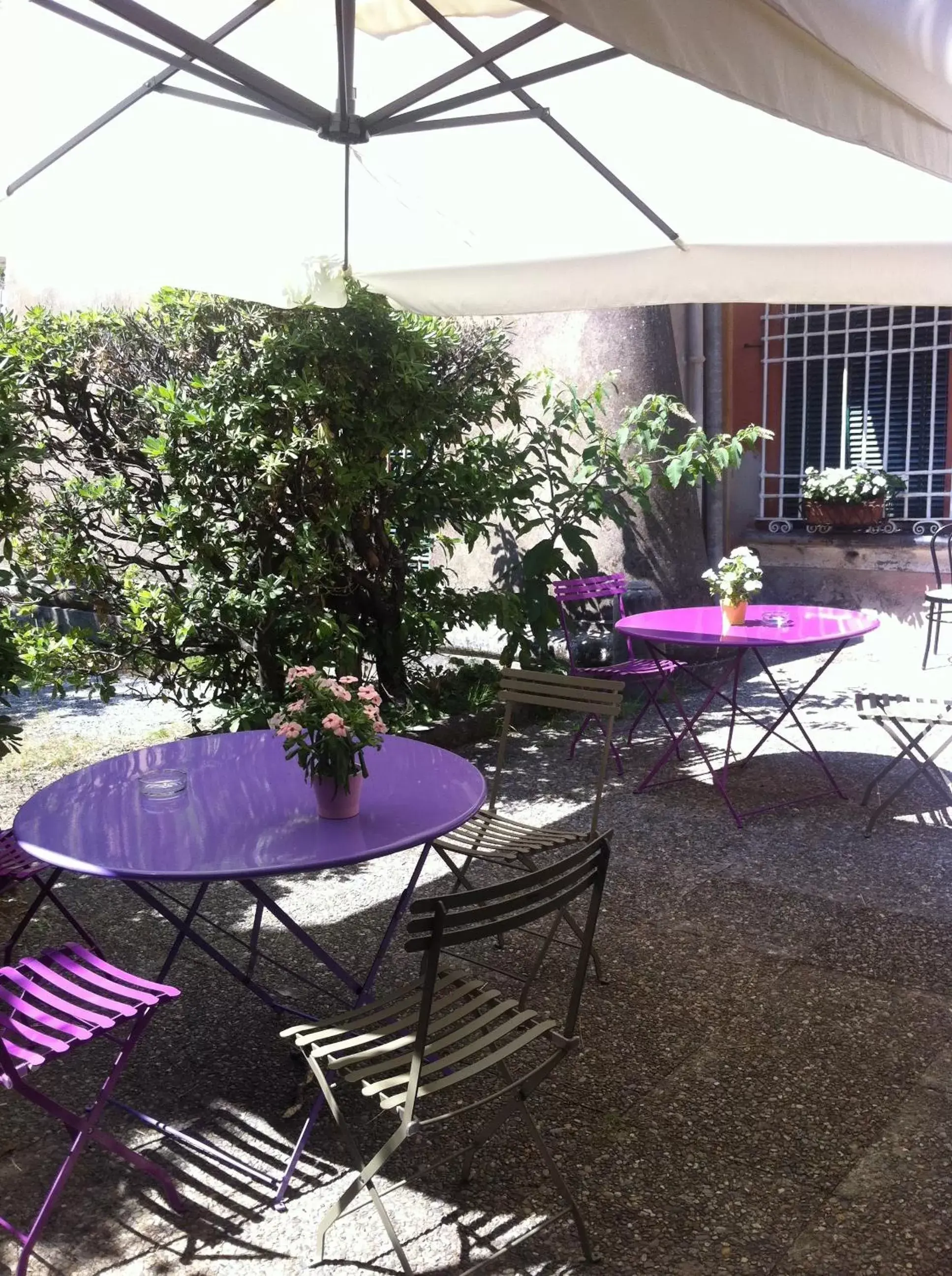 Garden, Swimming Pool in Hotel Villa Bonera