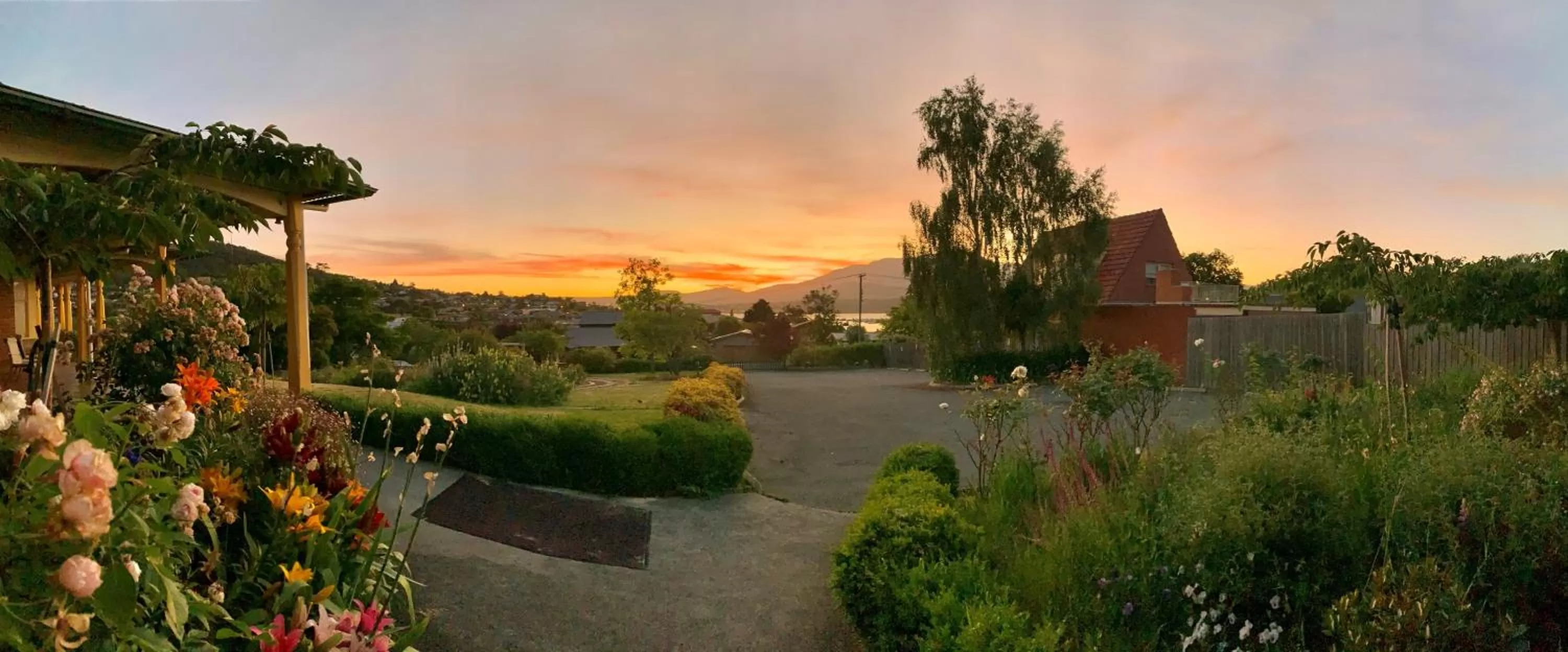 Summer in Orana House