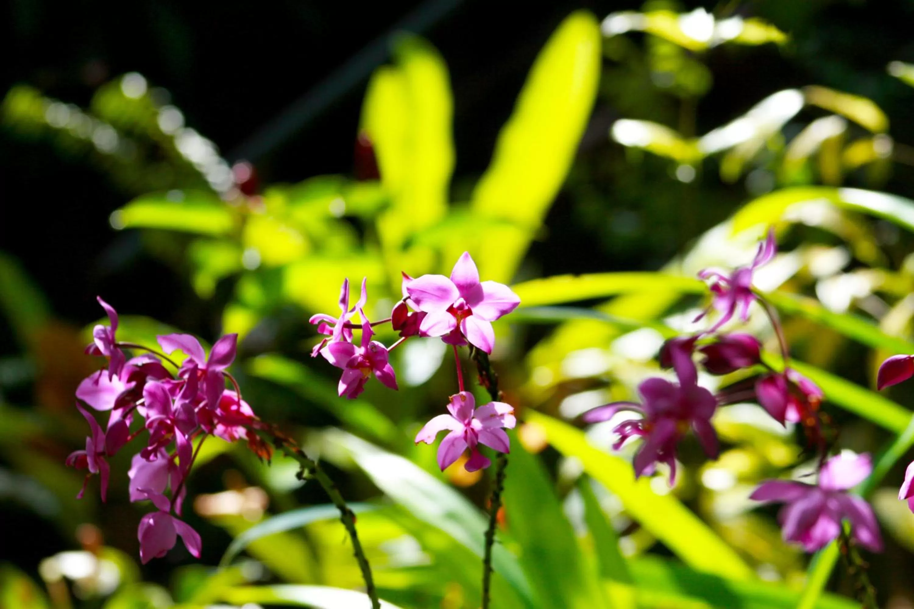 Property building in Khao Sok Morning Mist Resort