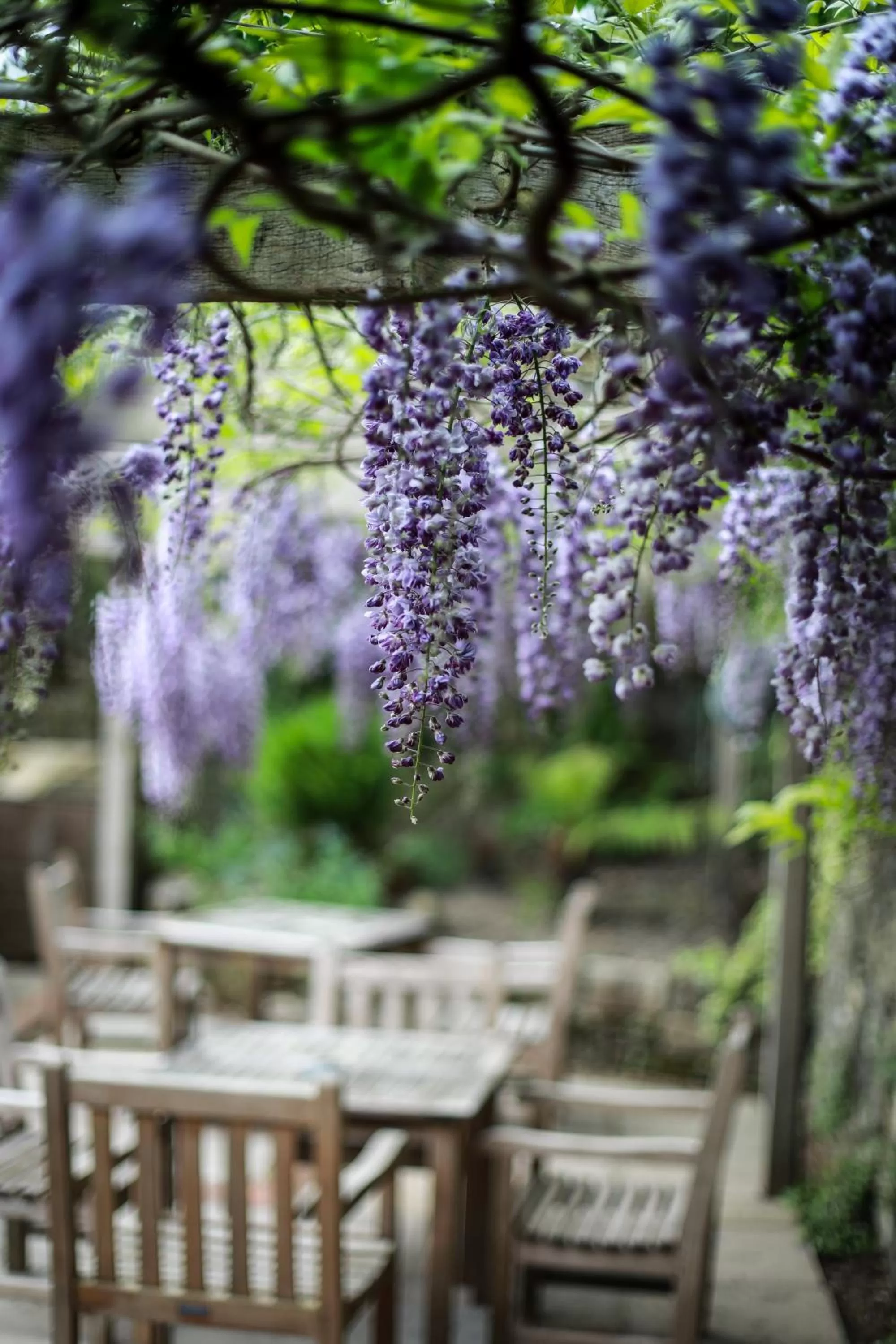 Patio in The Angel Inn, Petworth