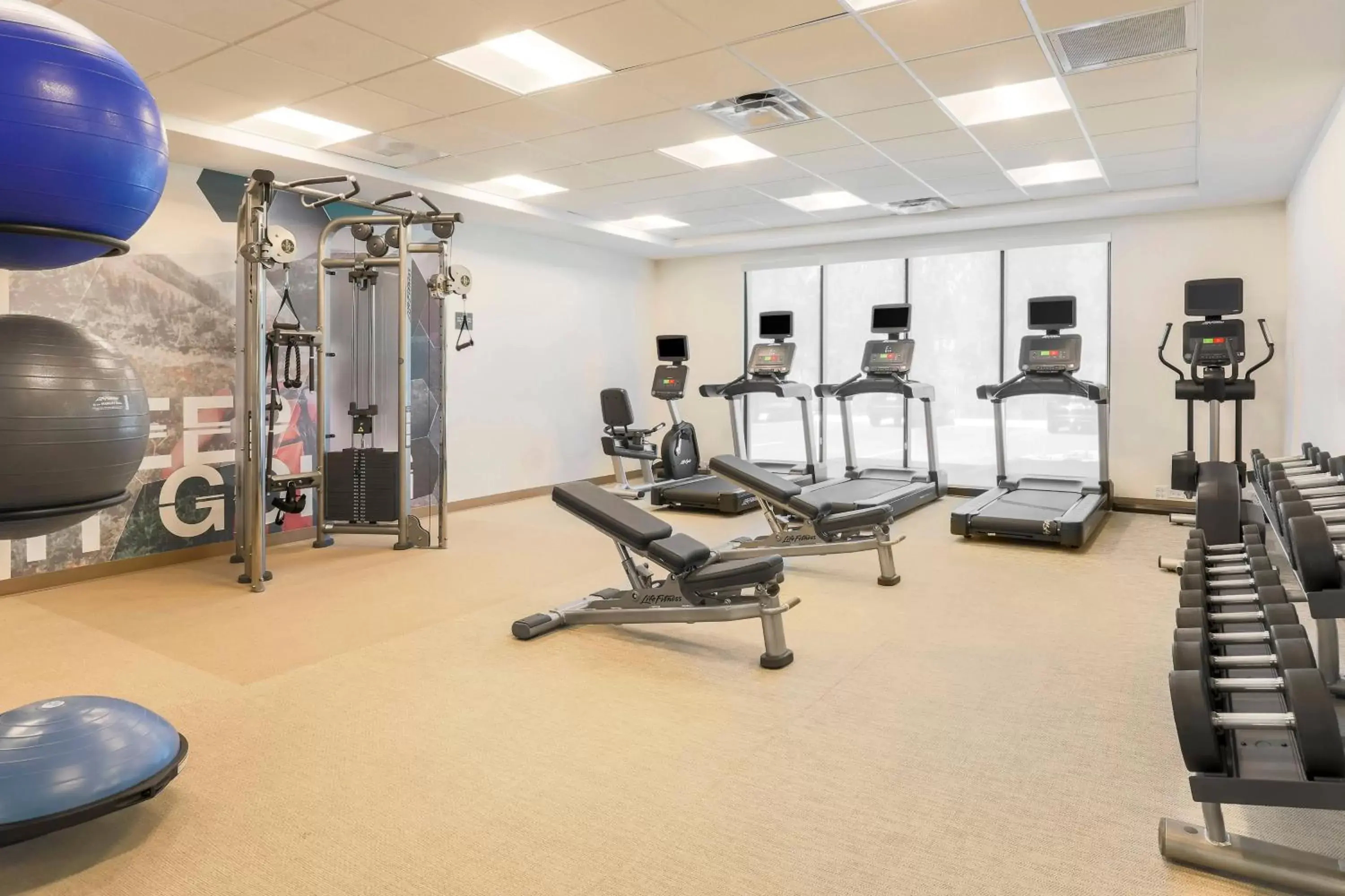 Fitness centre/facilities, Fitness Center/Facilities in SpringHill Suites by Marriott Truckee