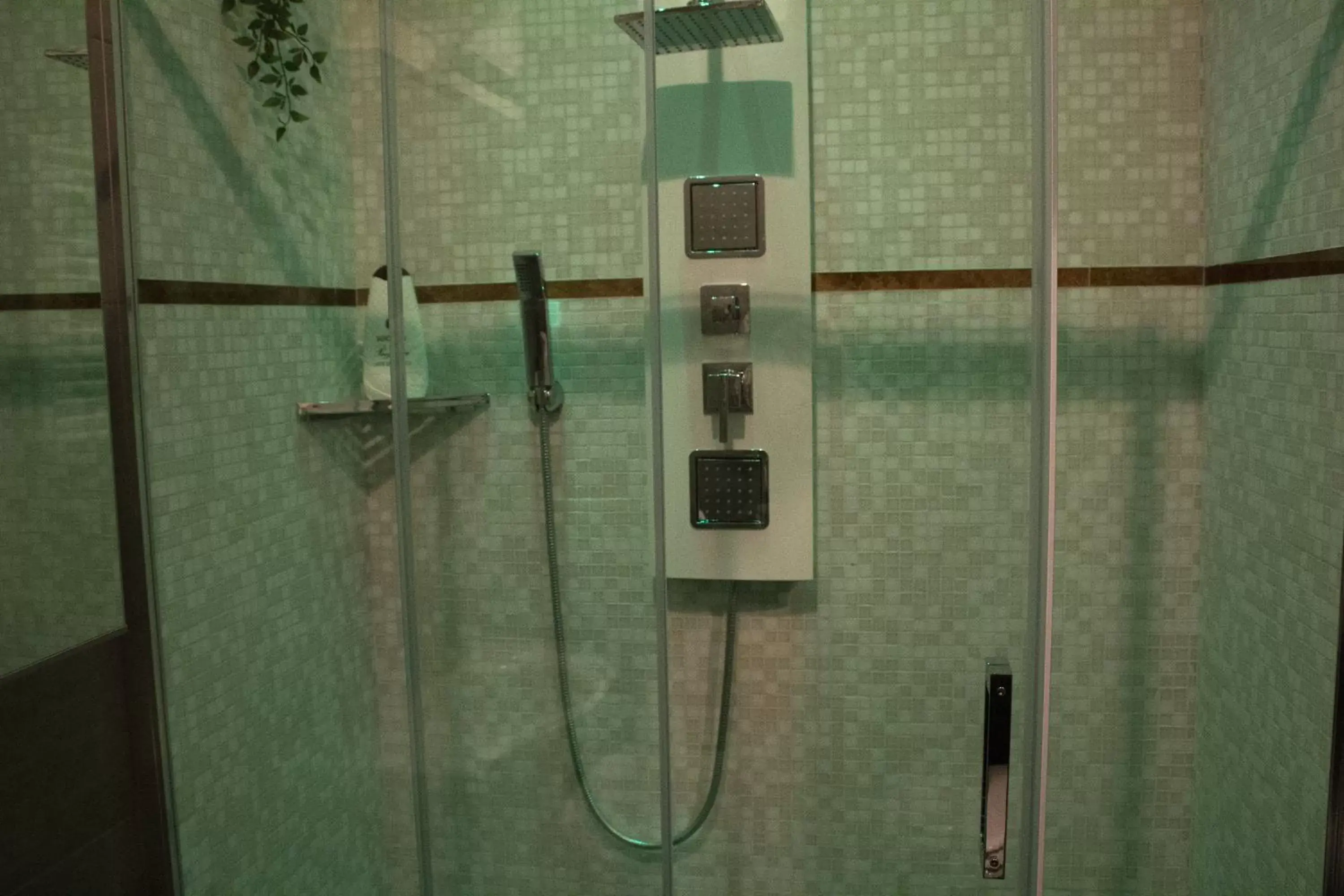 Shower, Bathroom in Naviglio81