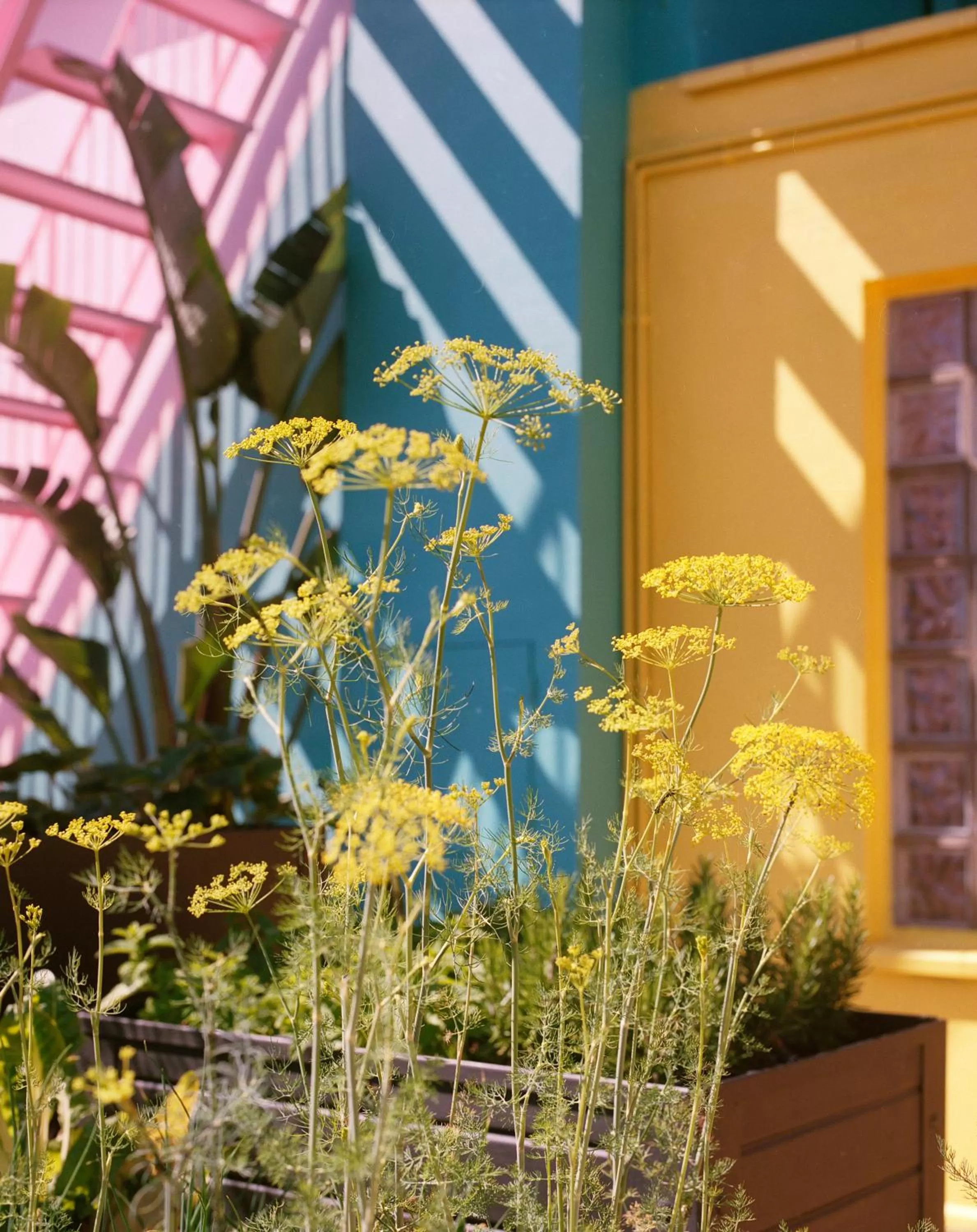 Balcony/Terrace in Pol & Grace Hotel
