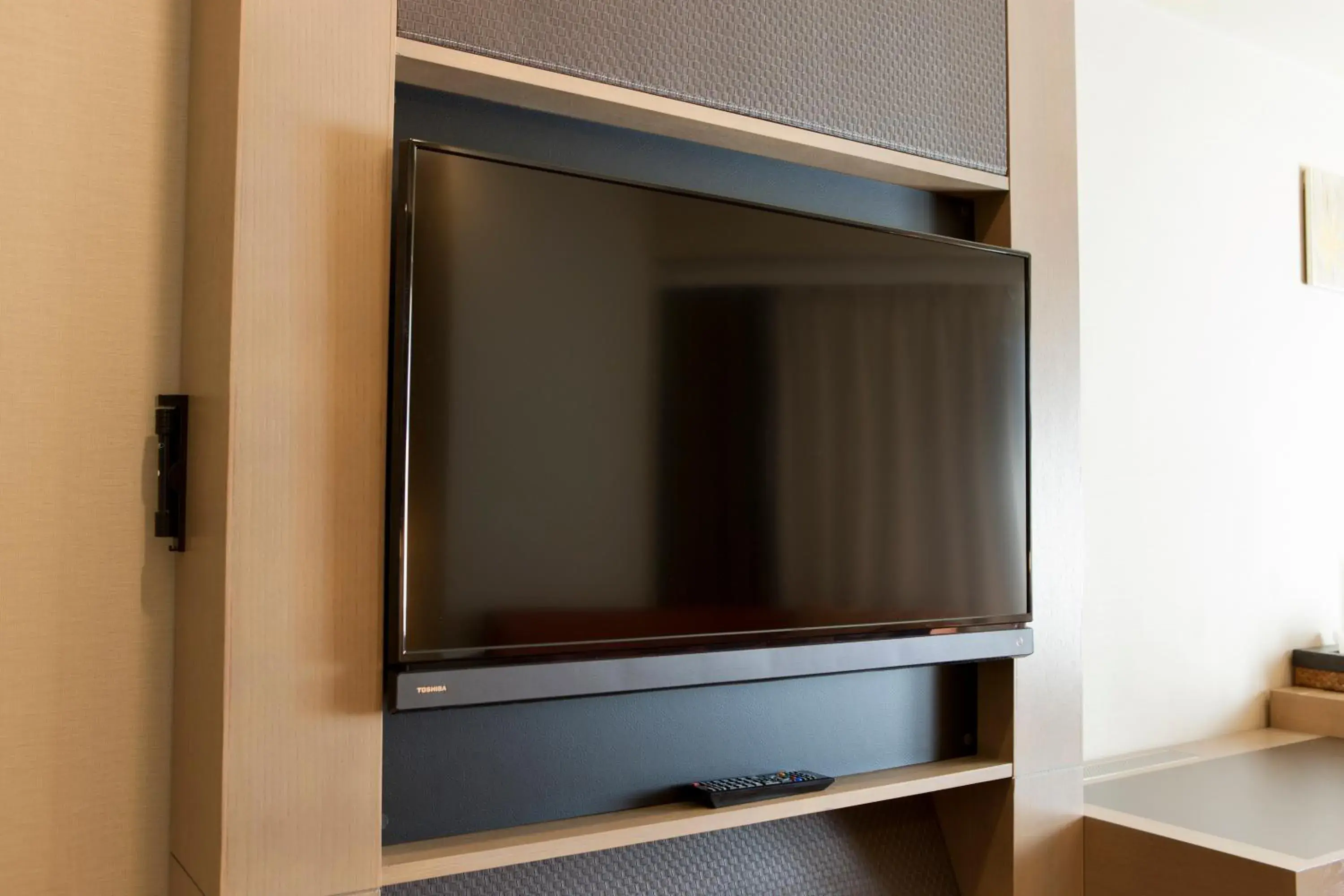 TV and multimedia in Hotel Sardonyx Tokyo