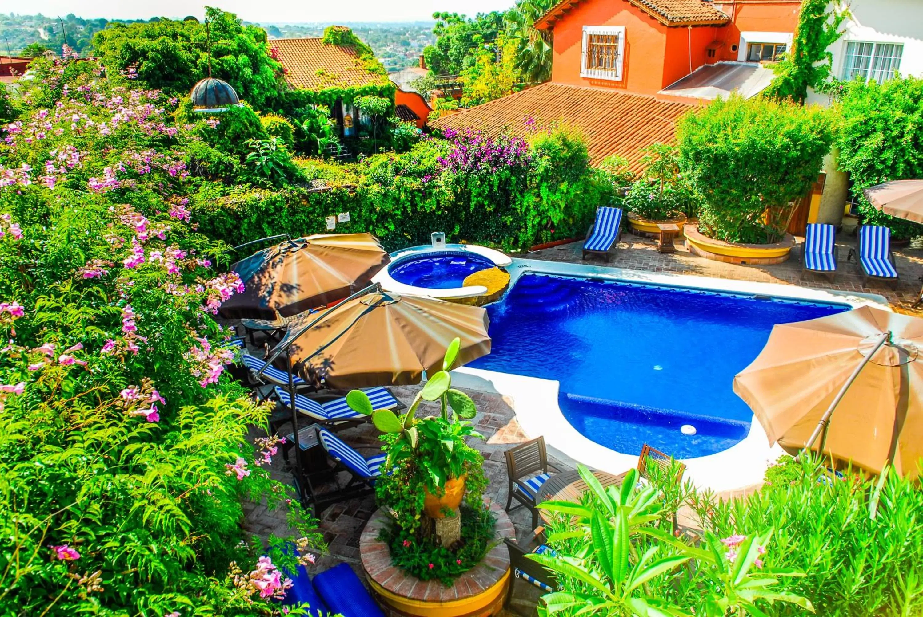 Swimming pool, Pool View in Hotel Hacienda Los Laureles