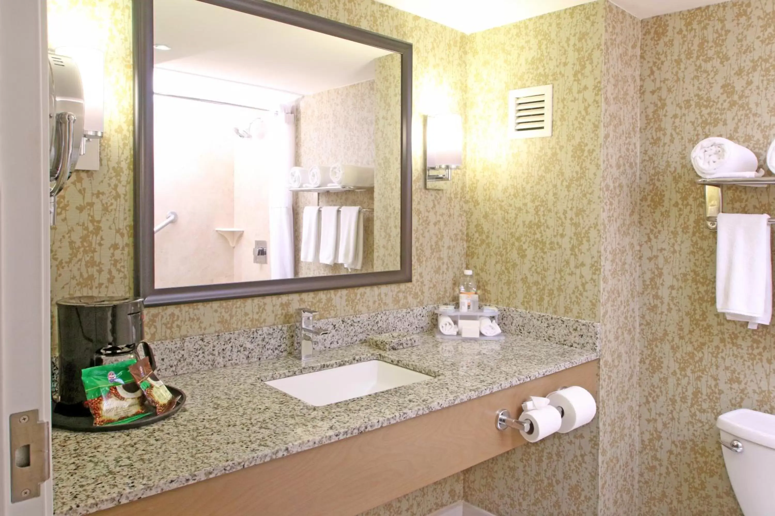 Photo of the whole room, Bathroom in Holiday Inn Express & Suites Cuernavaca, an IHG Hotel