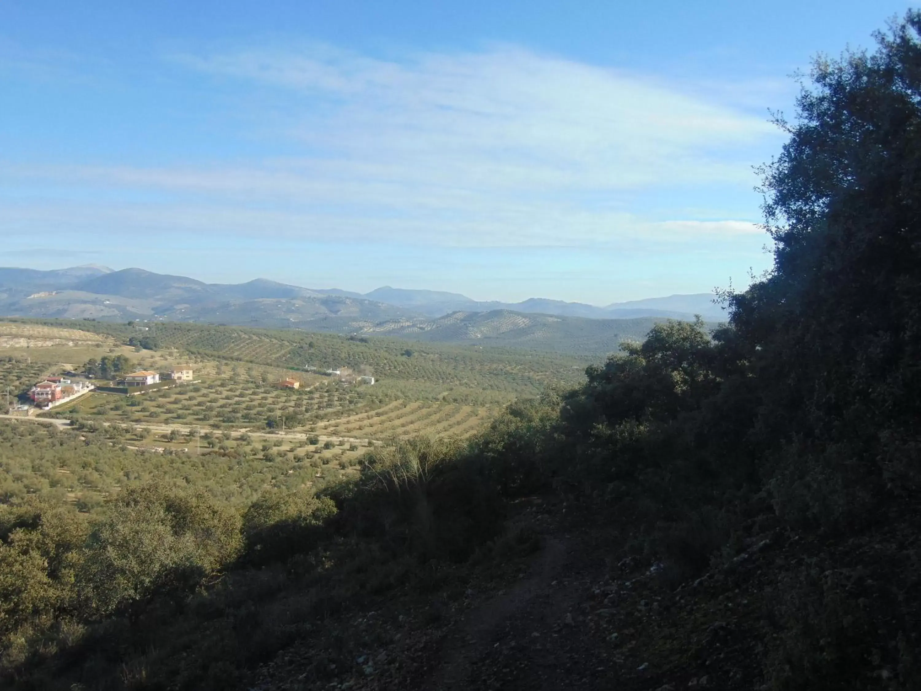 Area and facilities in Hotel Sierra de Araceli Lucena