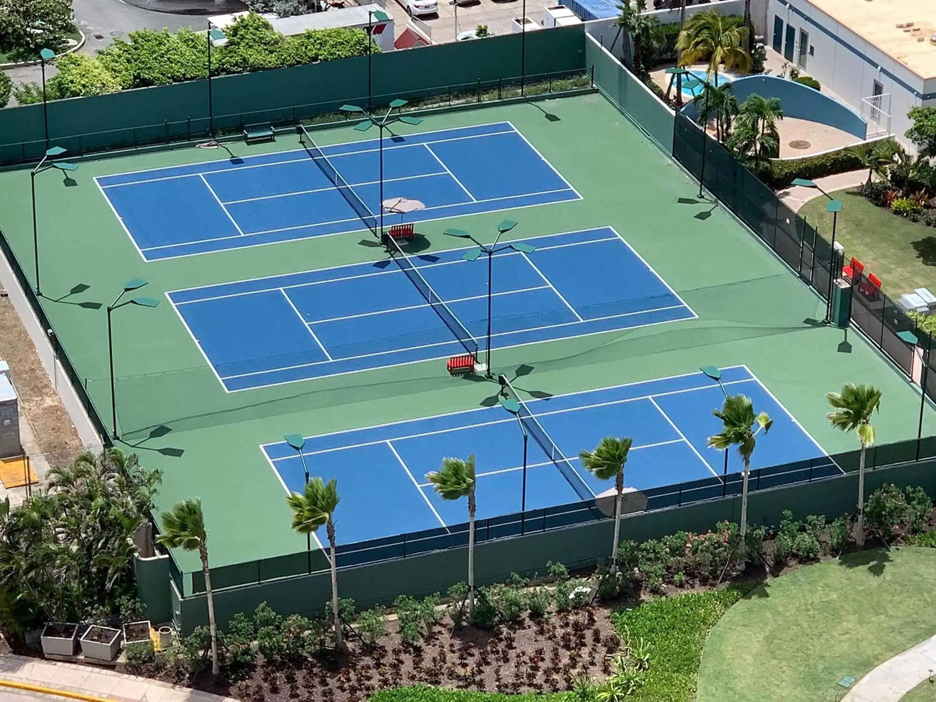 Sports, Tennis/Squash in Caribe Hilton