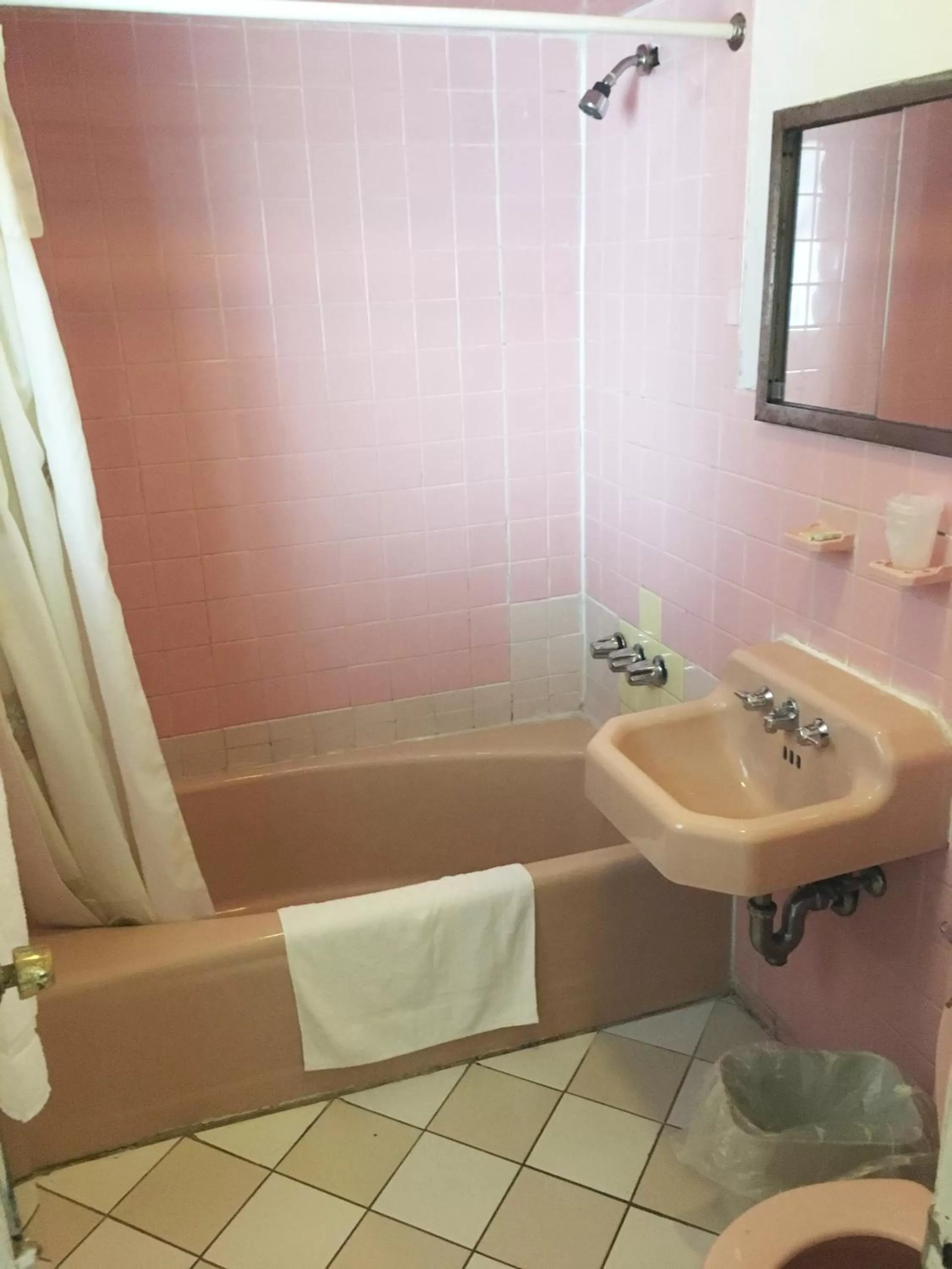 Shower in Village Motel