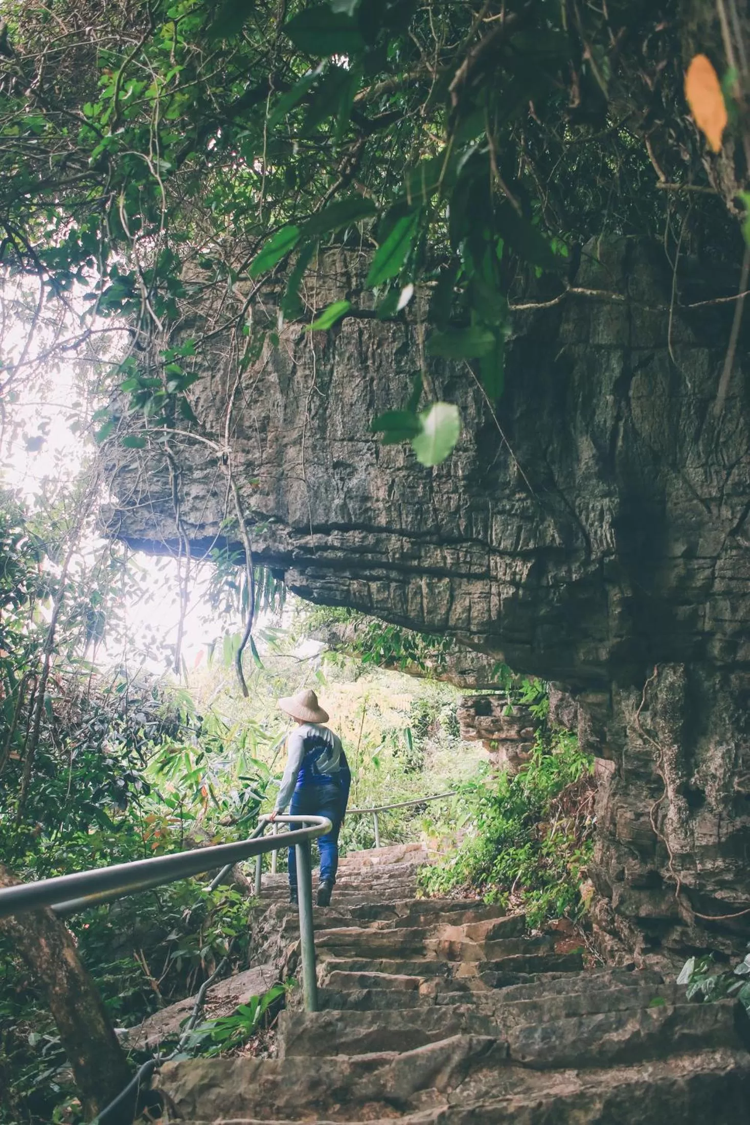 Natural landscape in Thung Nham Resort