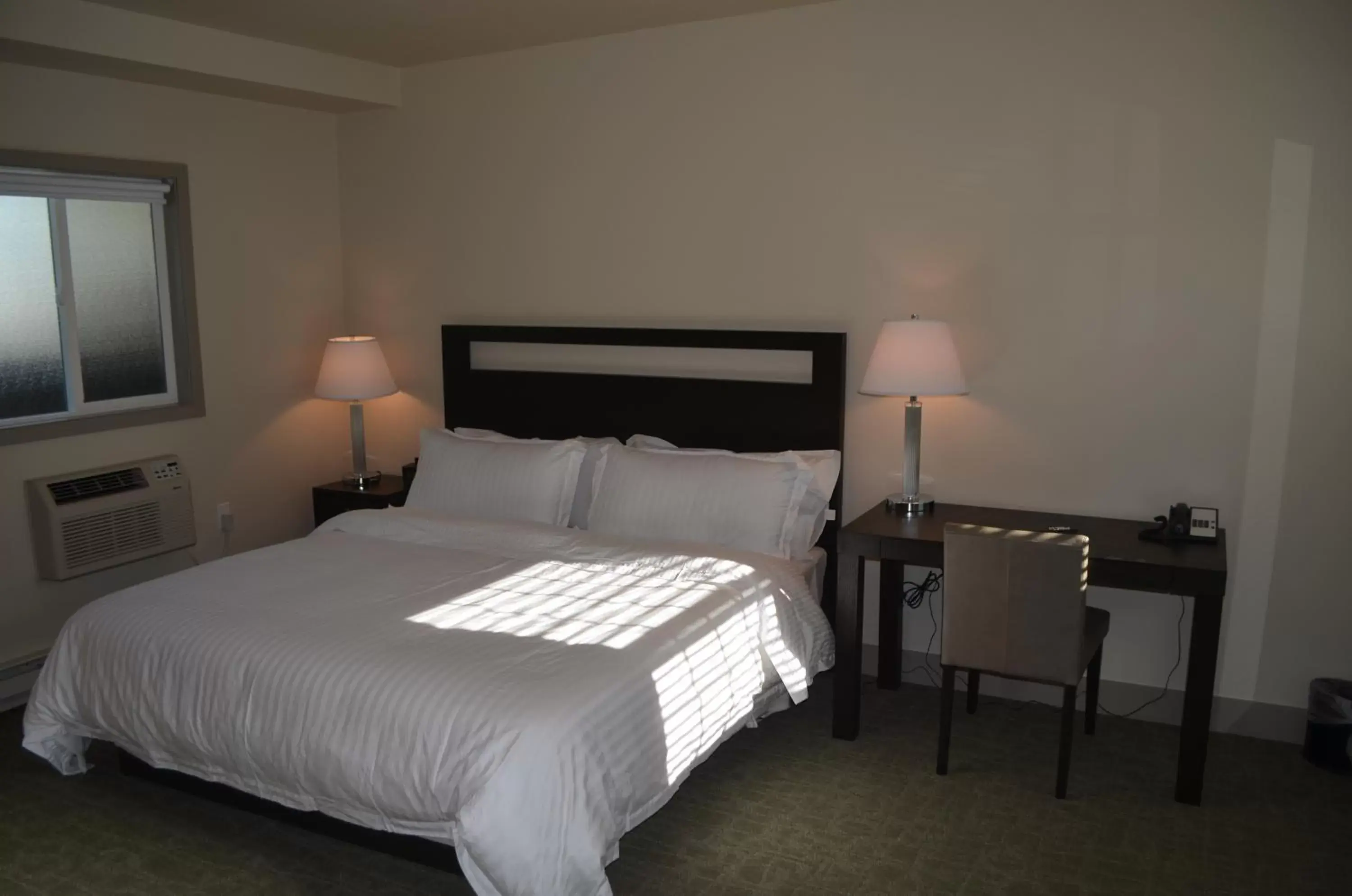 Business Single Room in Basalt Mountain Inn