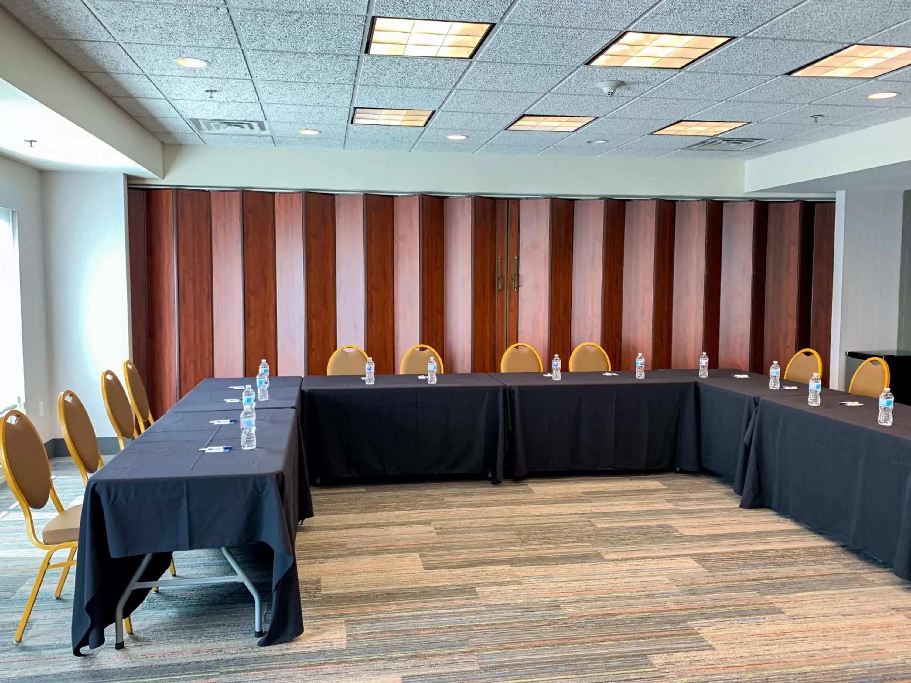Meeting/conference room in Holiday Inn Express & Suites Lexington Downtown Area-Keeneland, an IHG Hotel