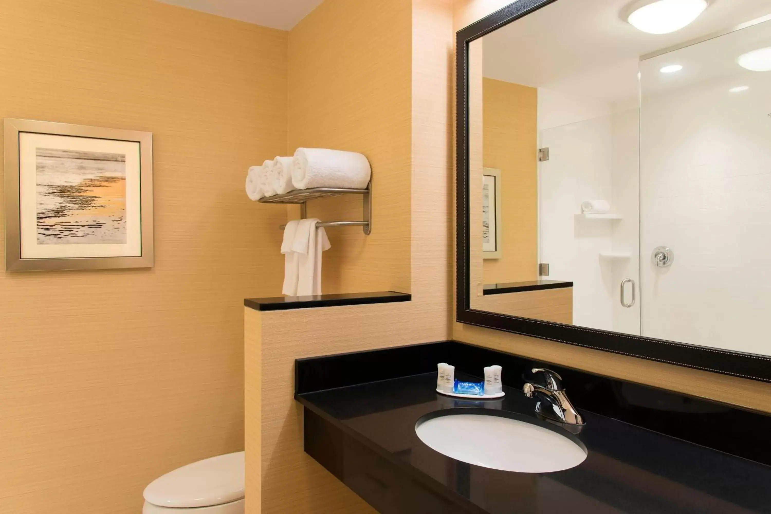 Bathroom in Fairfield Inn & Suites by Marriott Tampa Westshore/Airport