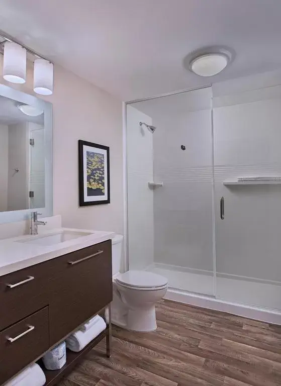 Bathroom in TownePlace Suites by Marriott Lakeland