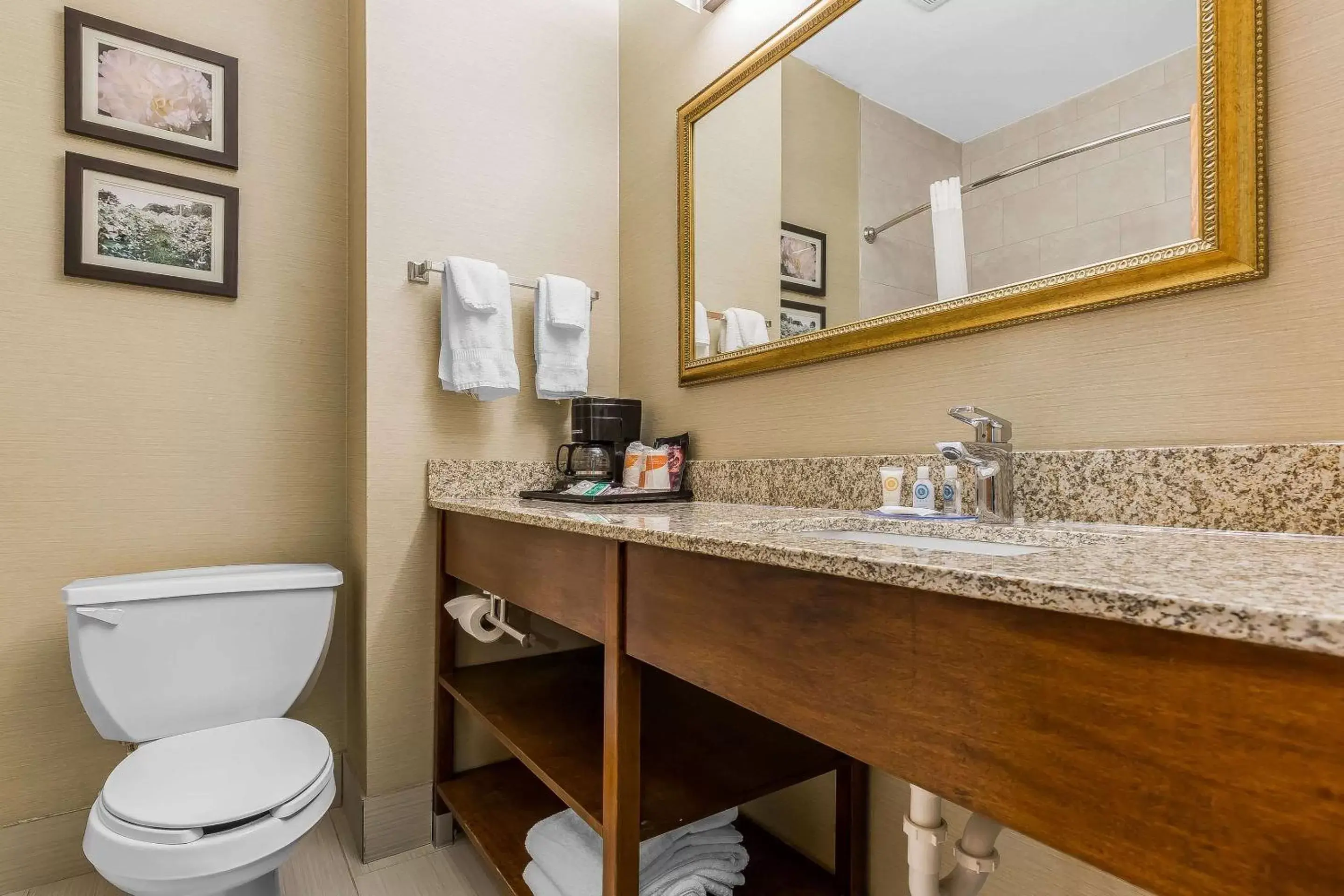 Photo of the whole room, Bathroom in Comfort Inn & Suites Mishawaka-South Bend