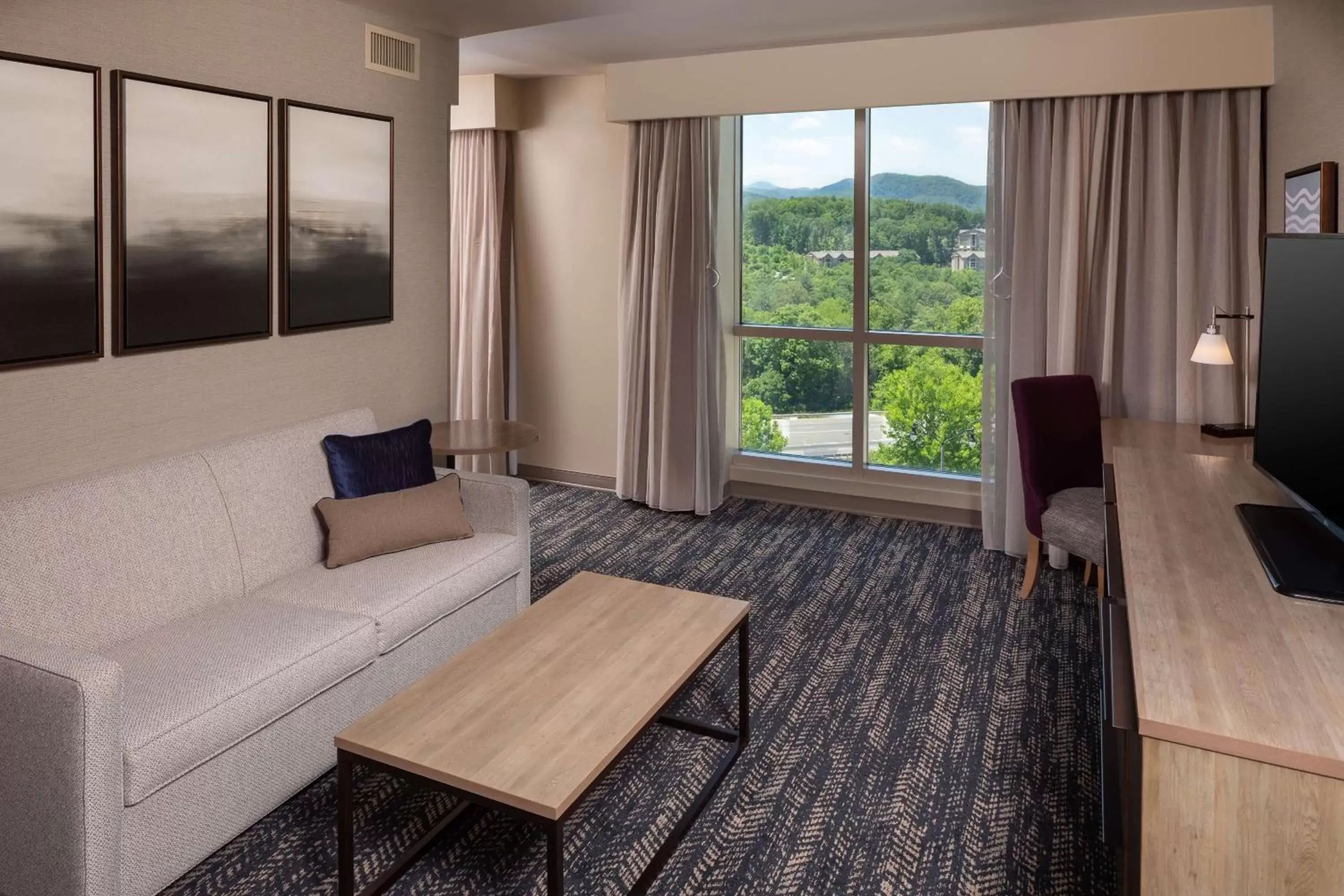 Bedroom, Seating Area in Hilton Asheville Biltmore Park