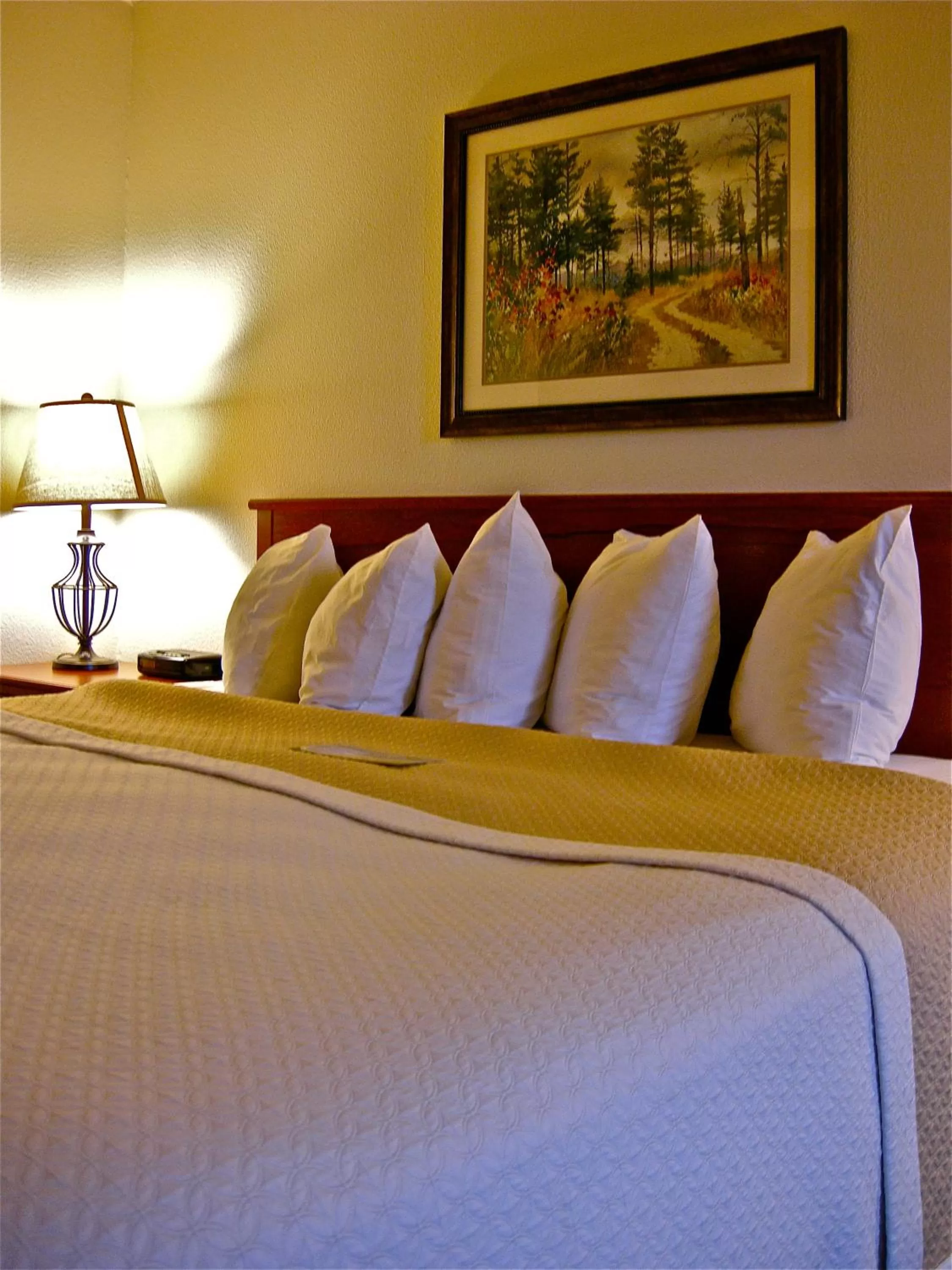 Deluxe King Studio Suite - Non-Smoking in Days Inn by Wyndham Coeur d'Alene