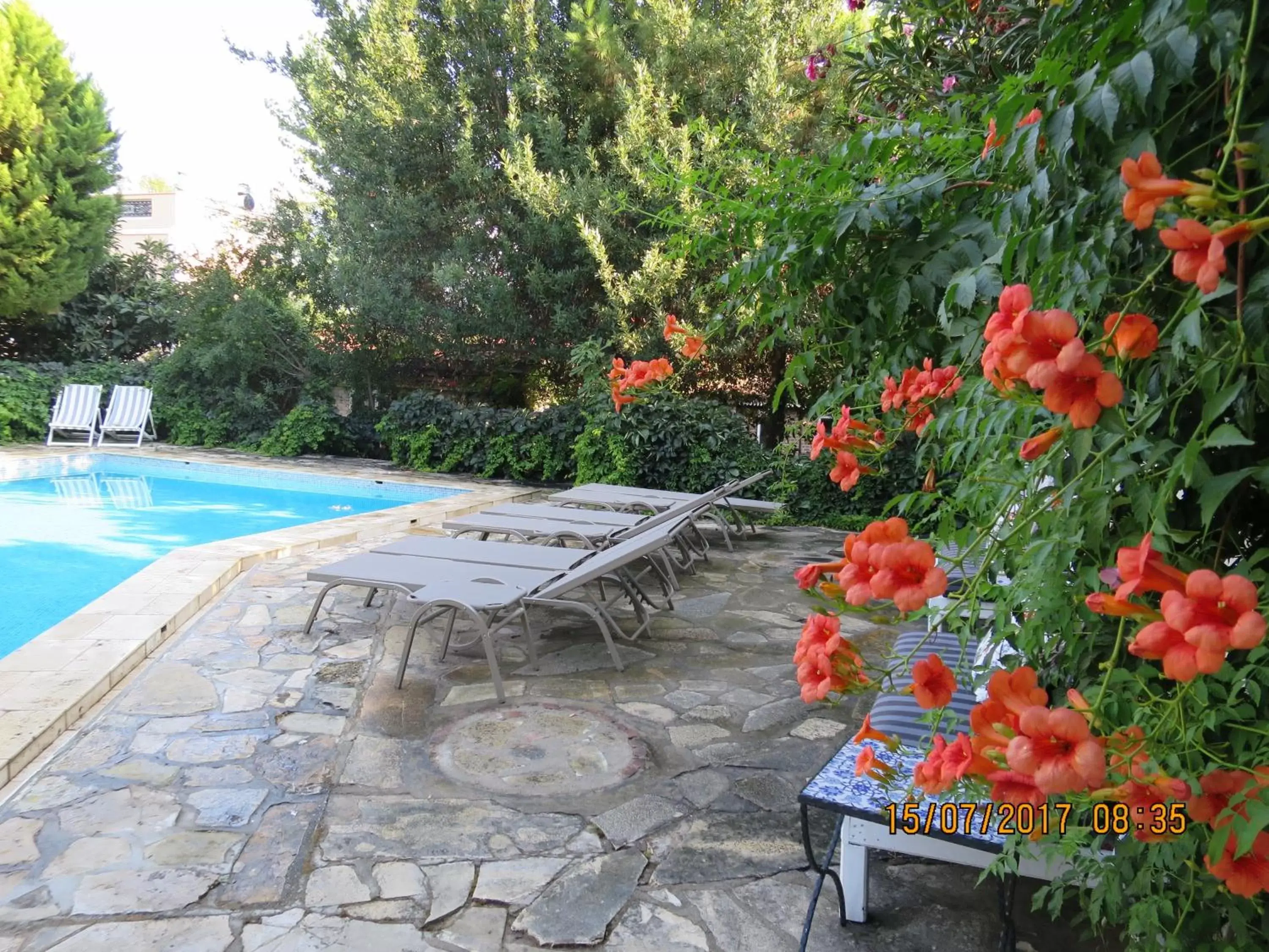 Garden, Swimming Pool in Hotel Kalehan