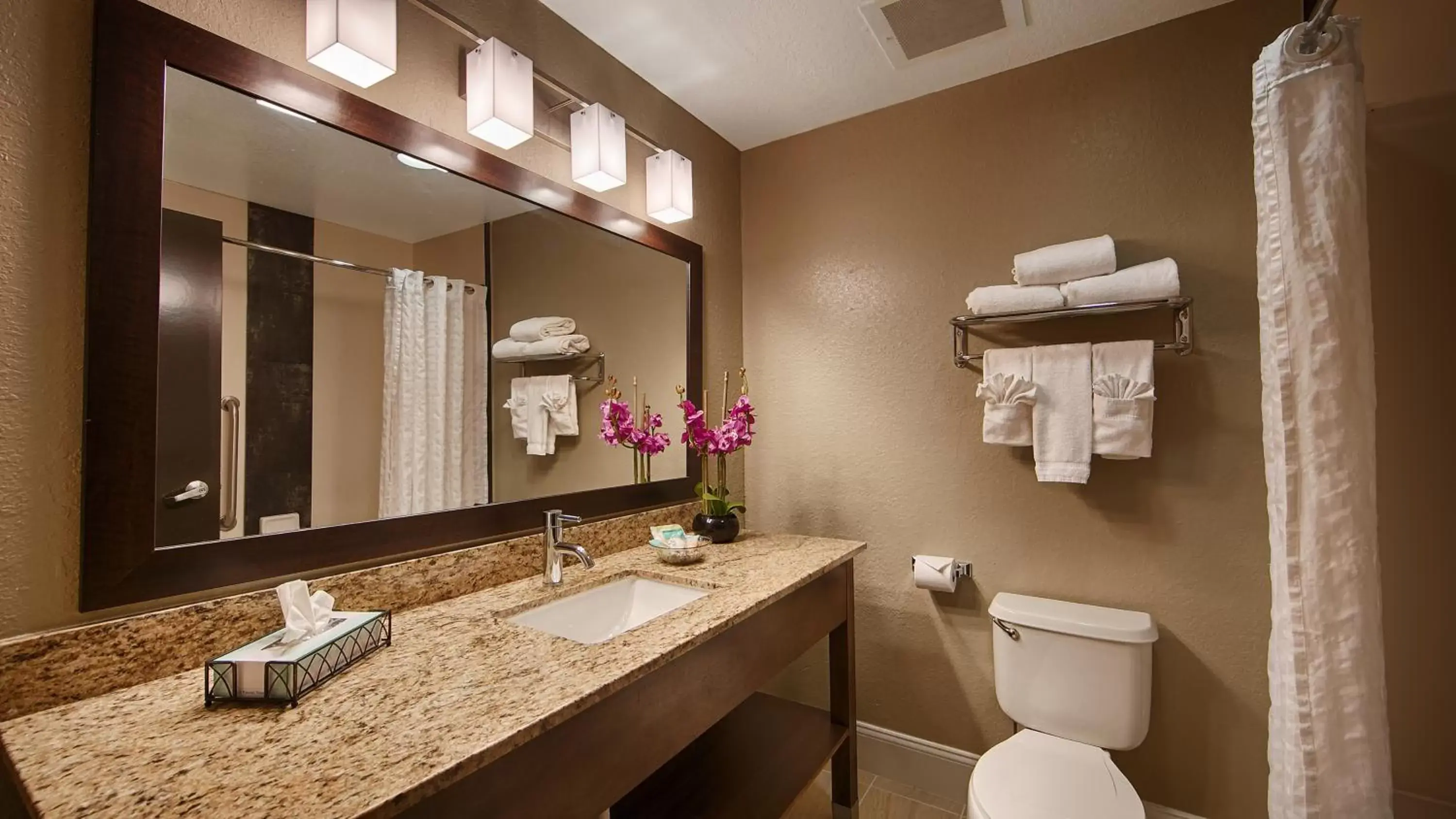 Bathroom in Best Western Airport Inn & Suites
