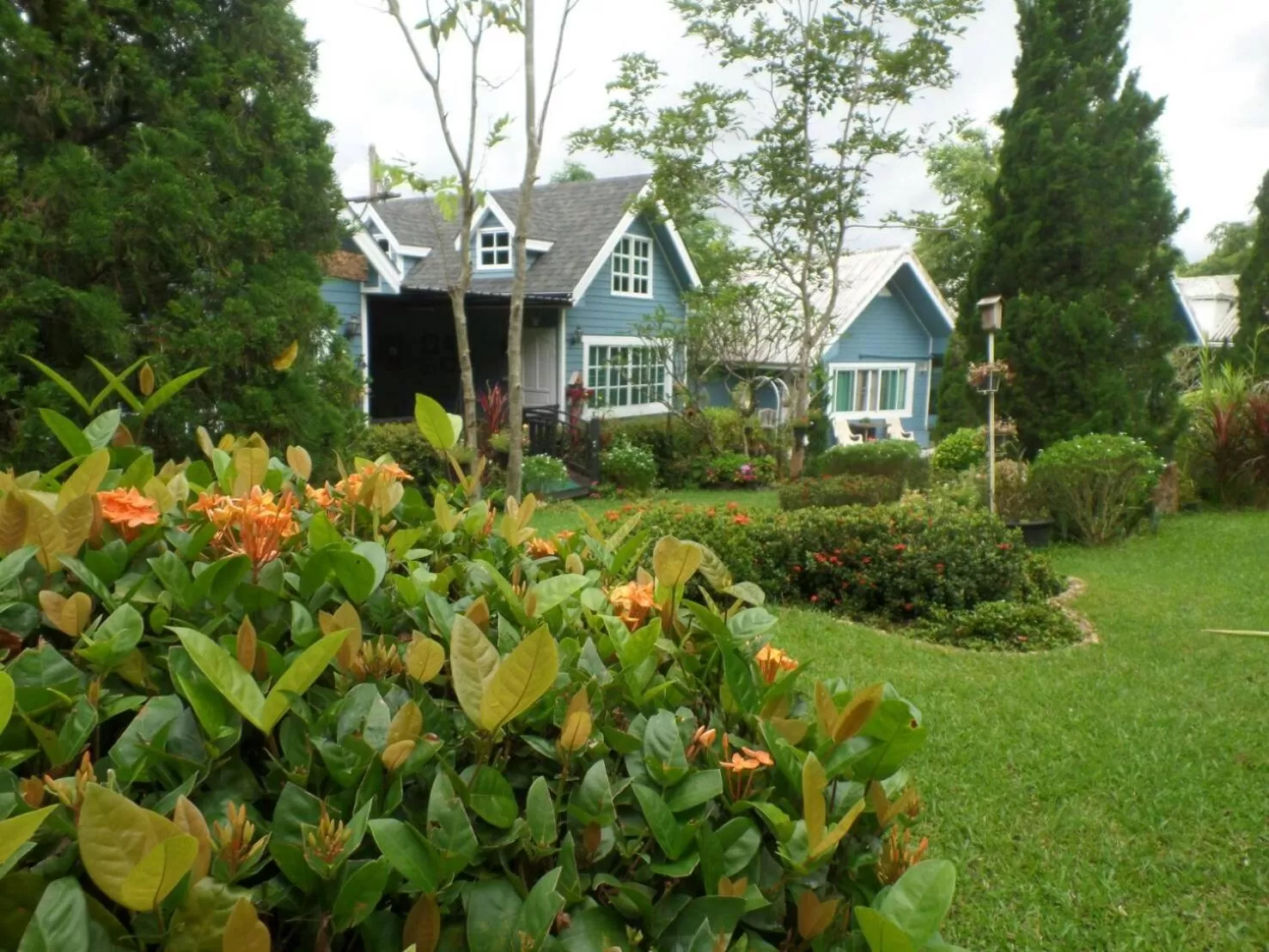 Property building in Baan JaoKorKluay บ้านเจ้ากอกล้วย