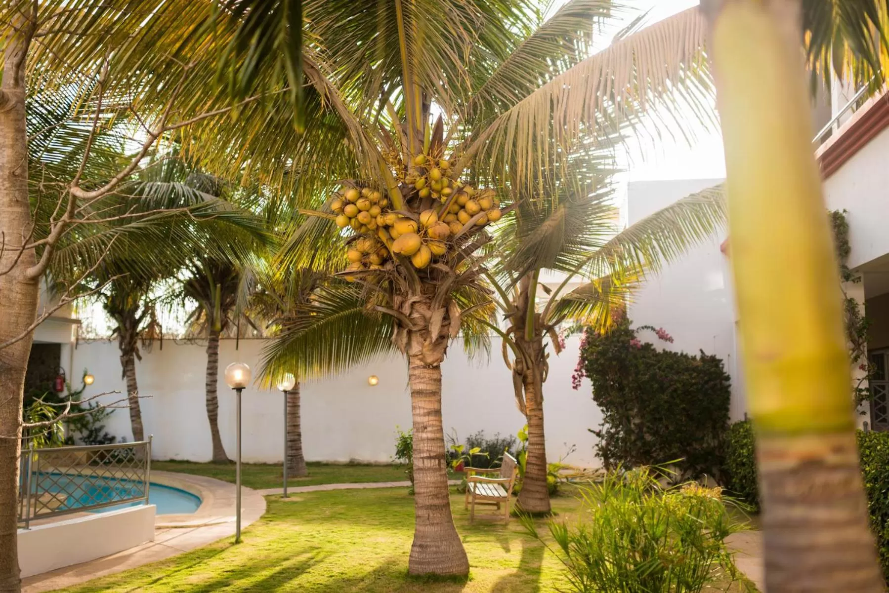 Garden in La Résidence