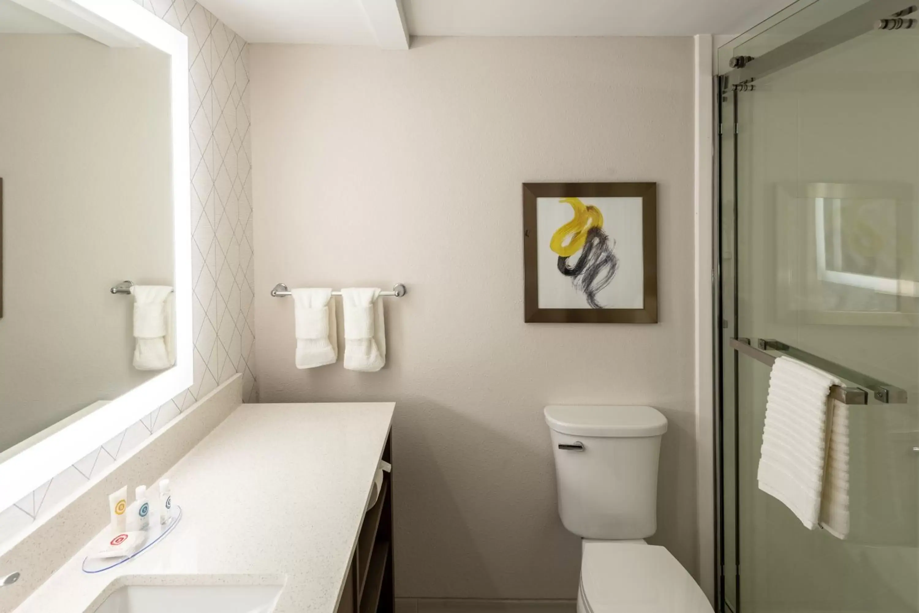 Shower, Bathroom in Comfort Inn & Suites Fishers - Indianapolis