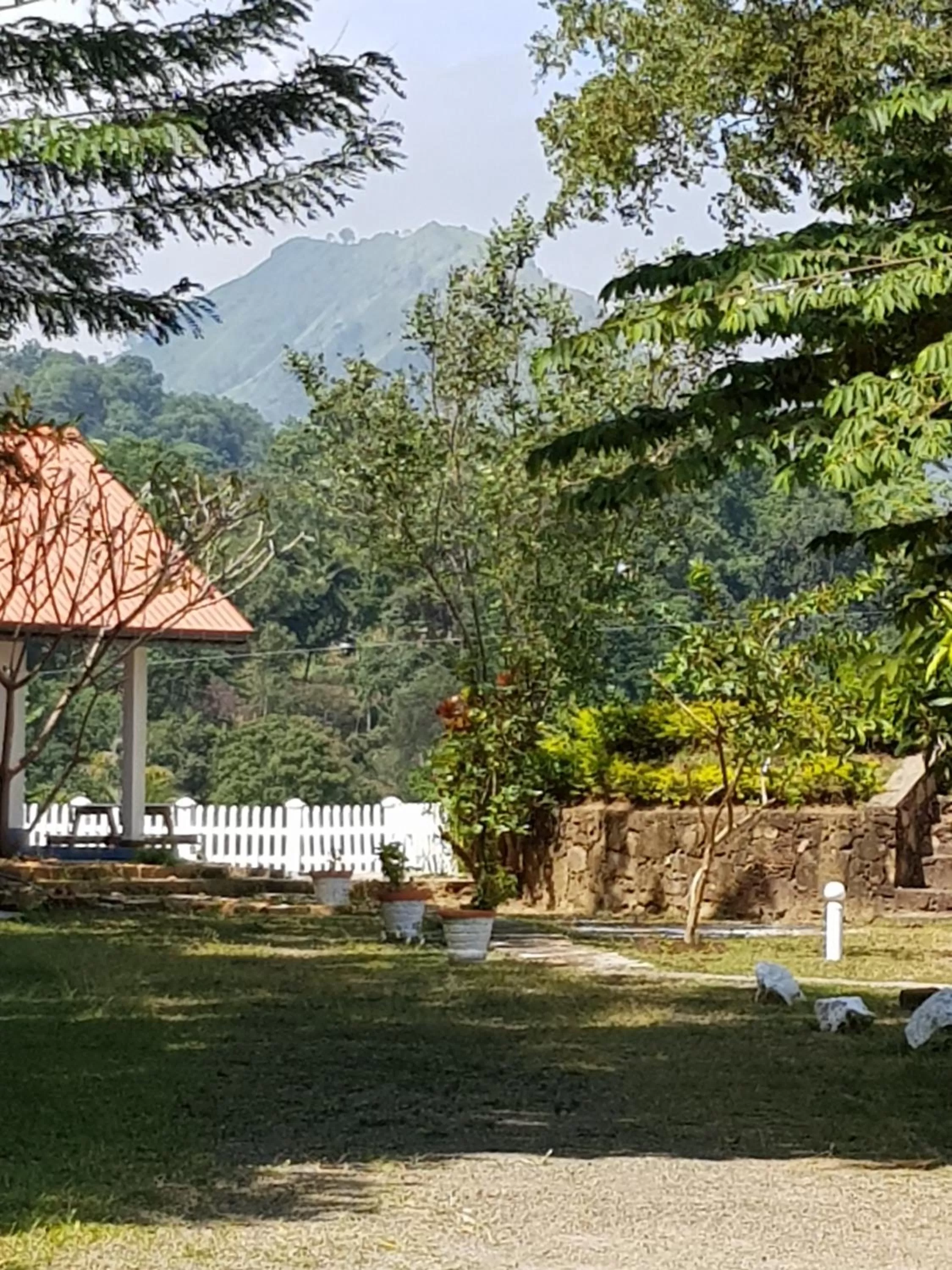 Garden in Feelin' good Resort