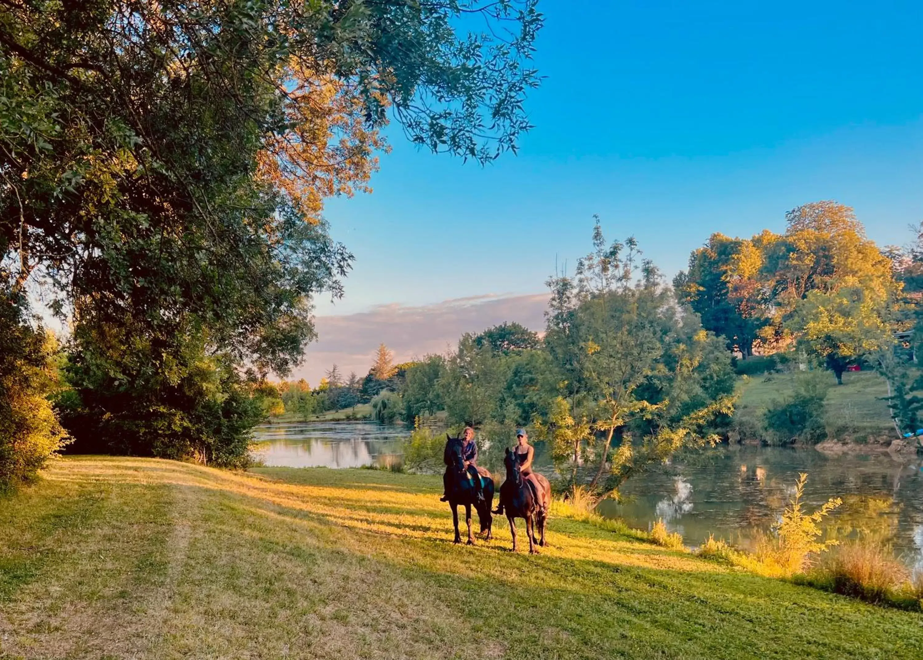 Garden, Horseback Riding in Domaine de Boulouch