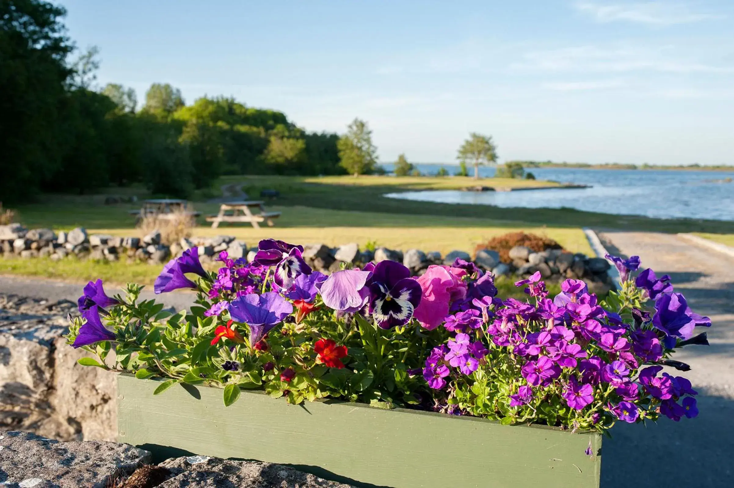 Garden in The Waterfront House Country Home