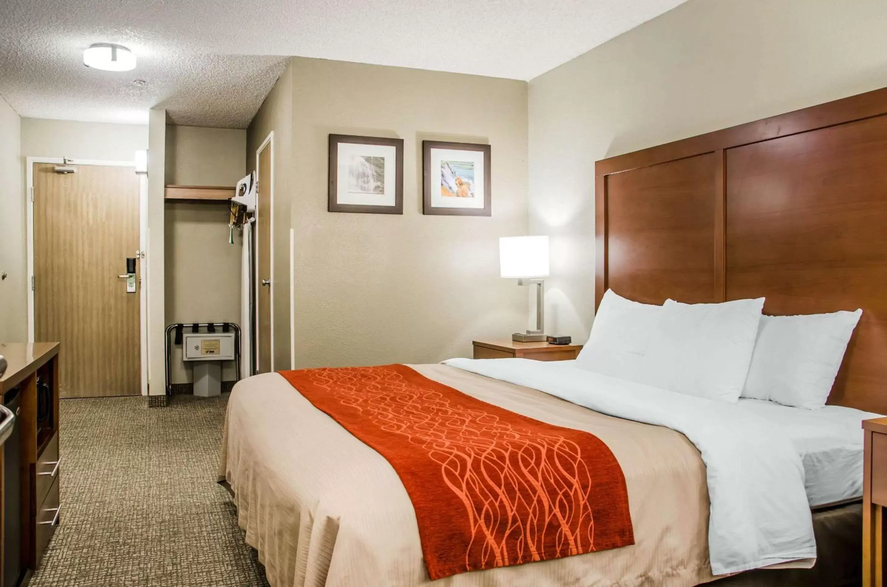 Photo of the whole room, Bed in Comfort Inn Idaho Falls