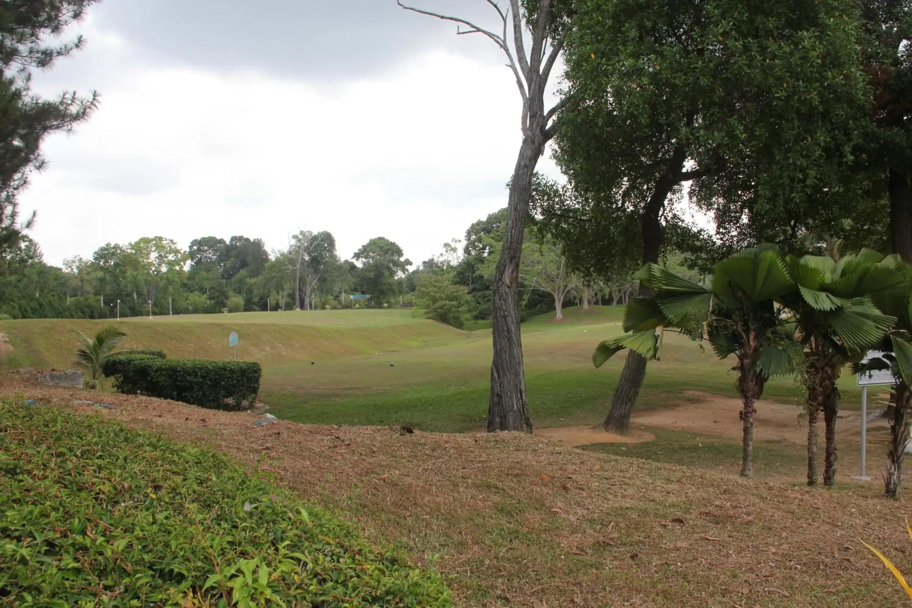 Natural landscape, Garden in Thistle Port Dickson