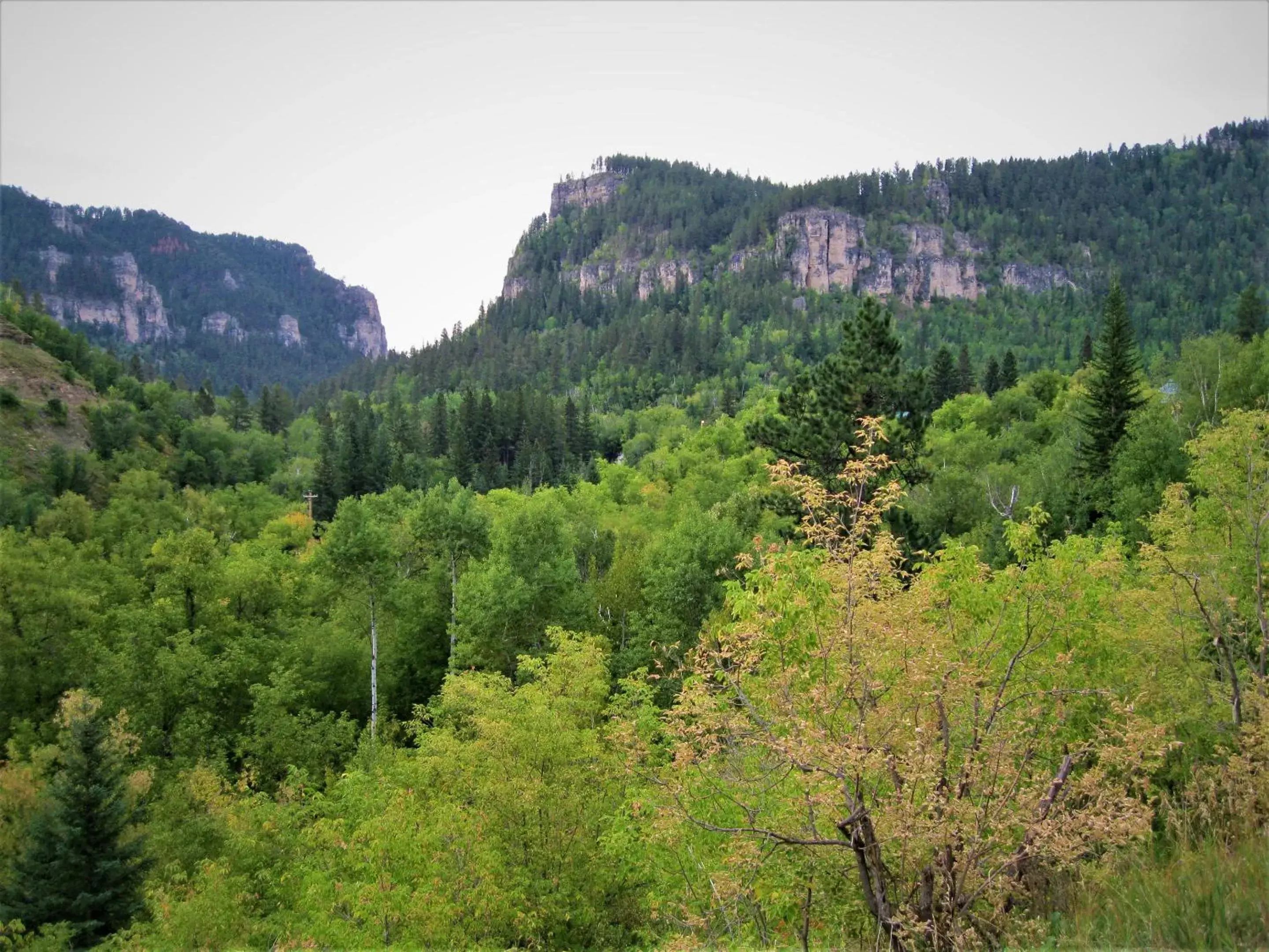 View (from property/room), Natural Landscape in Spearfish Canyon Lodge