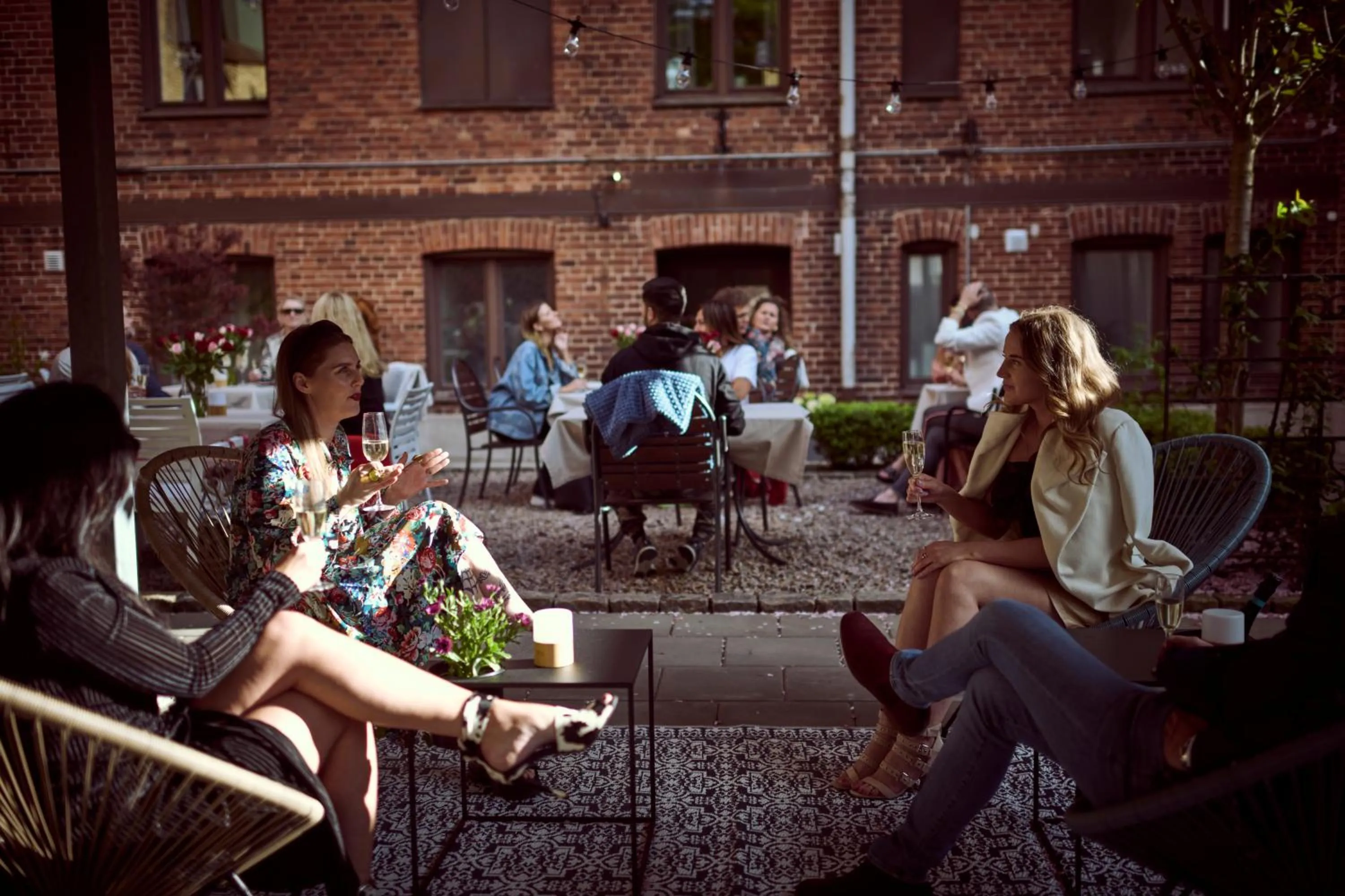 Garden in Hotel Continental Relax & Spa