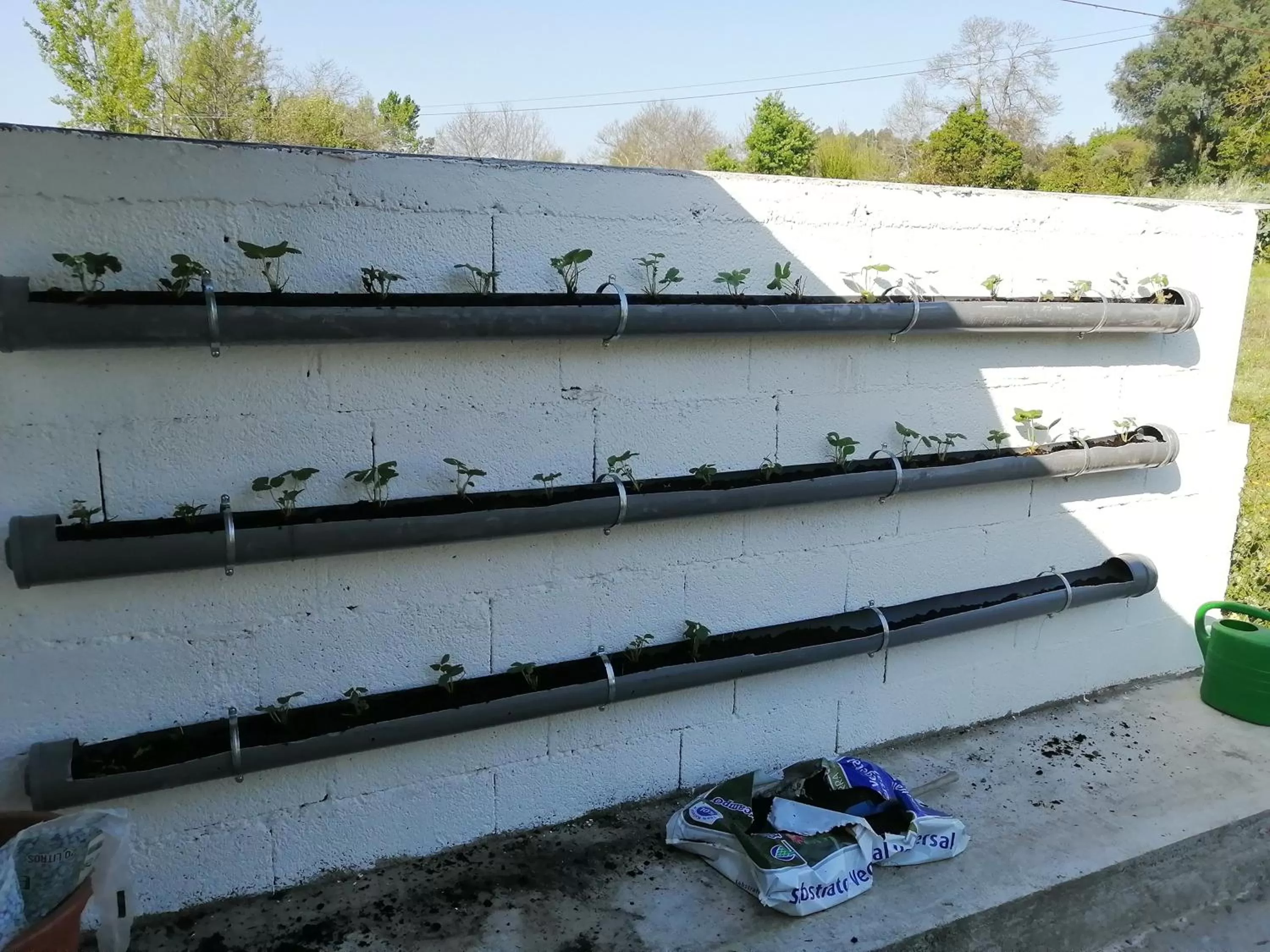 Garden in B&B Villa Branca Barreiros AL98139