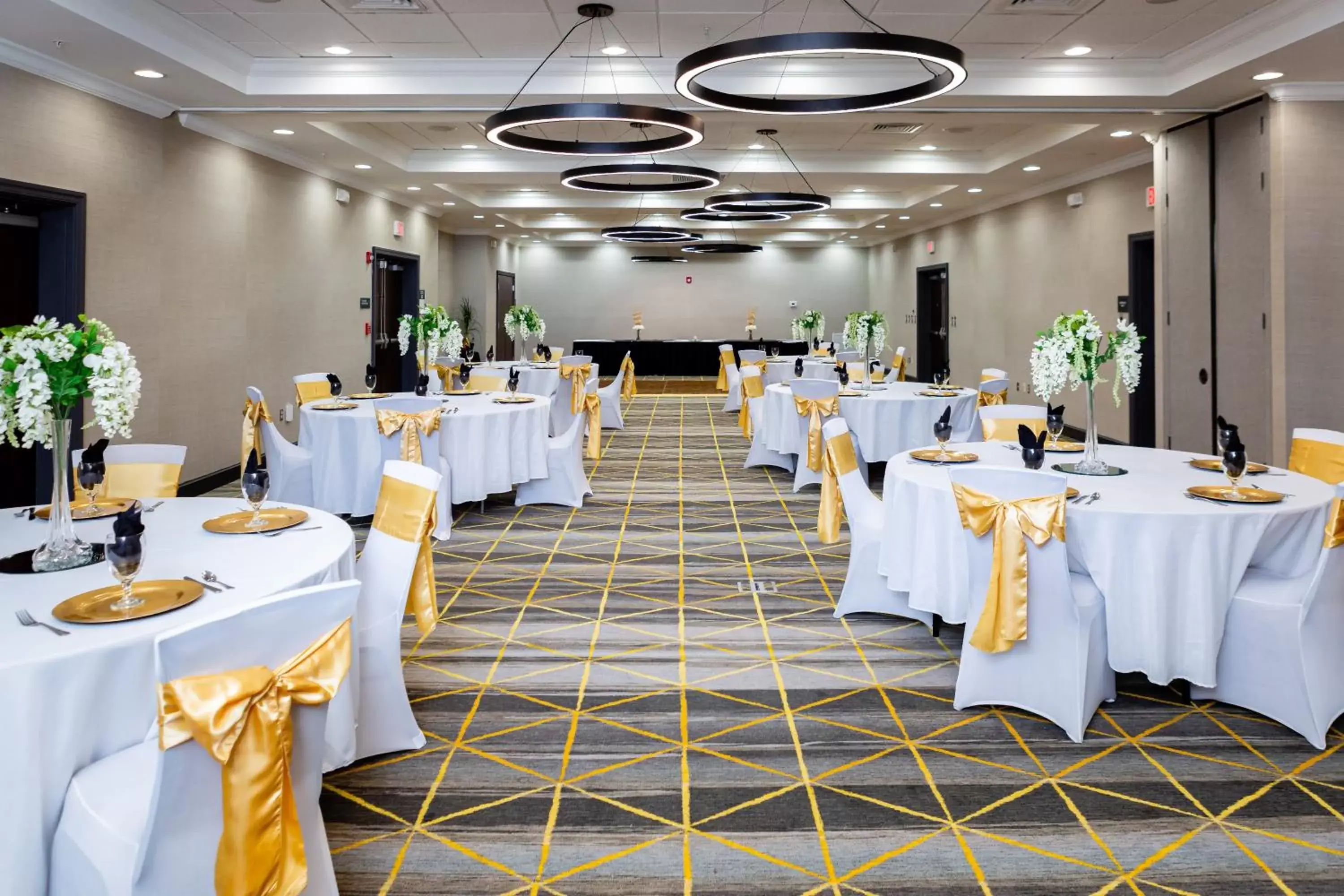 Banquet/Function facilities, Banquet Facilities in Holiday Inn Statesboro-University Area, an IHG Hotel