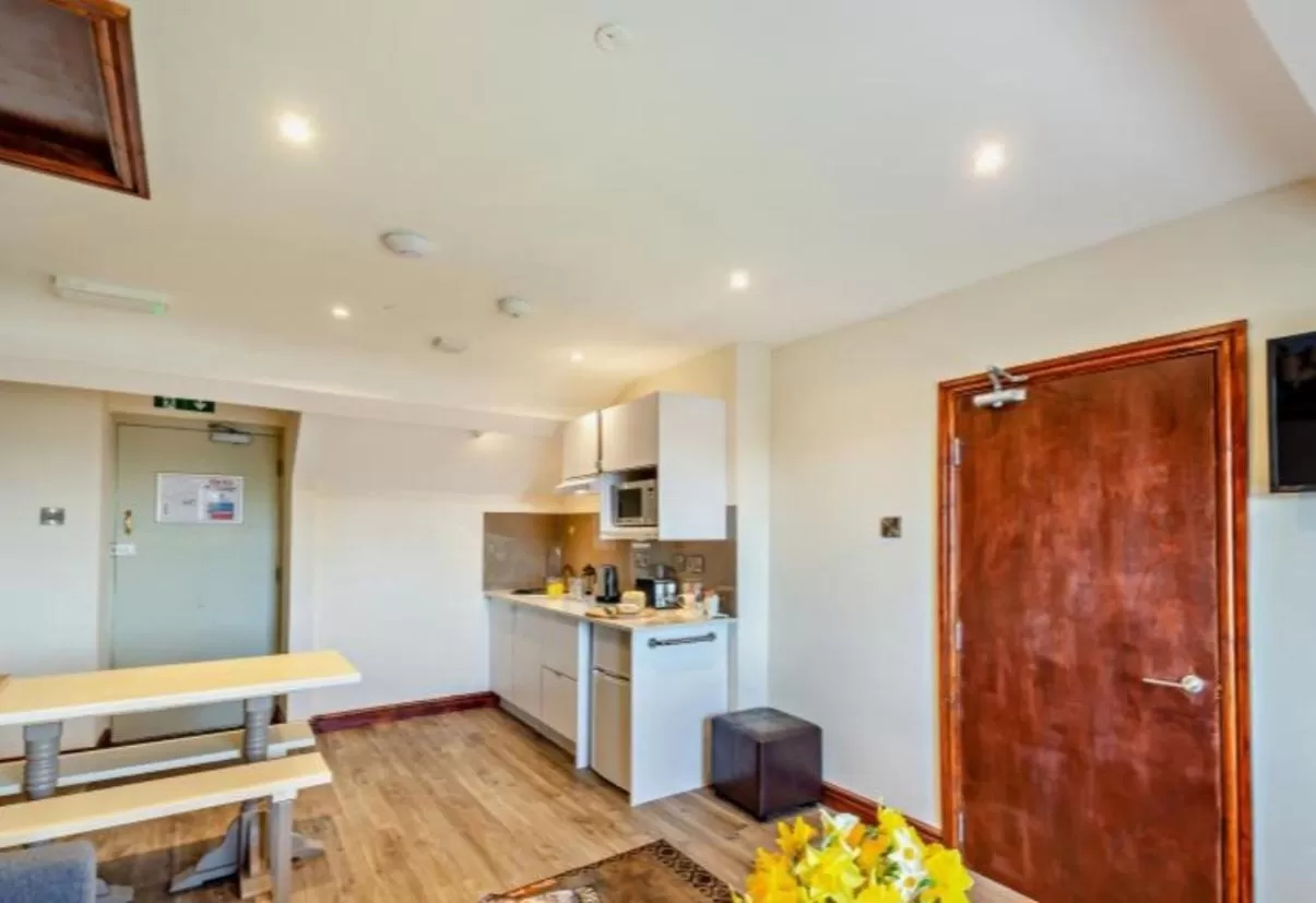 Kitchen or kitchenette in Lion Hotel & Studio Apartments