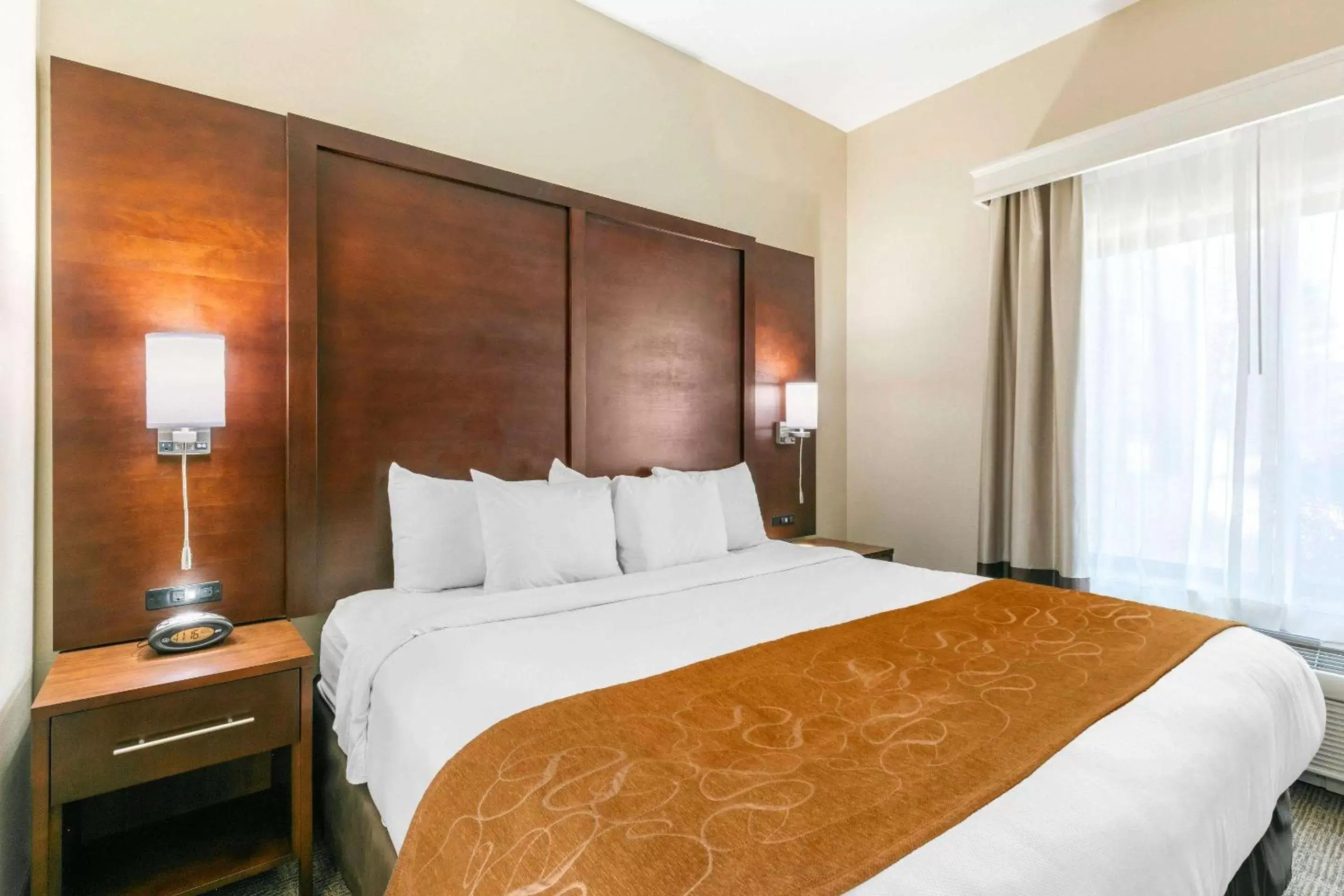 Photo of the whole room, Bed in Comfort Suites Hopkinsville near Fort Campbell Photo of the whole room, Bed in Comfort Suites Hopkinsville near Fort Campbell