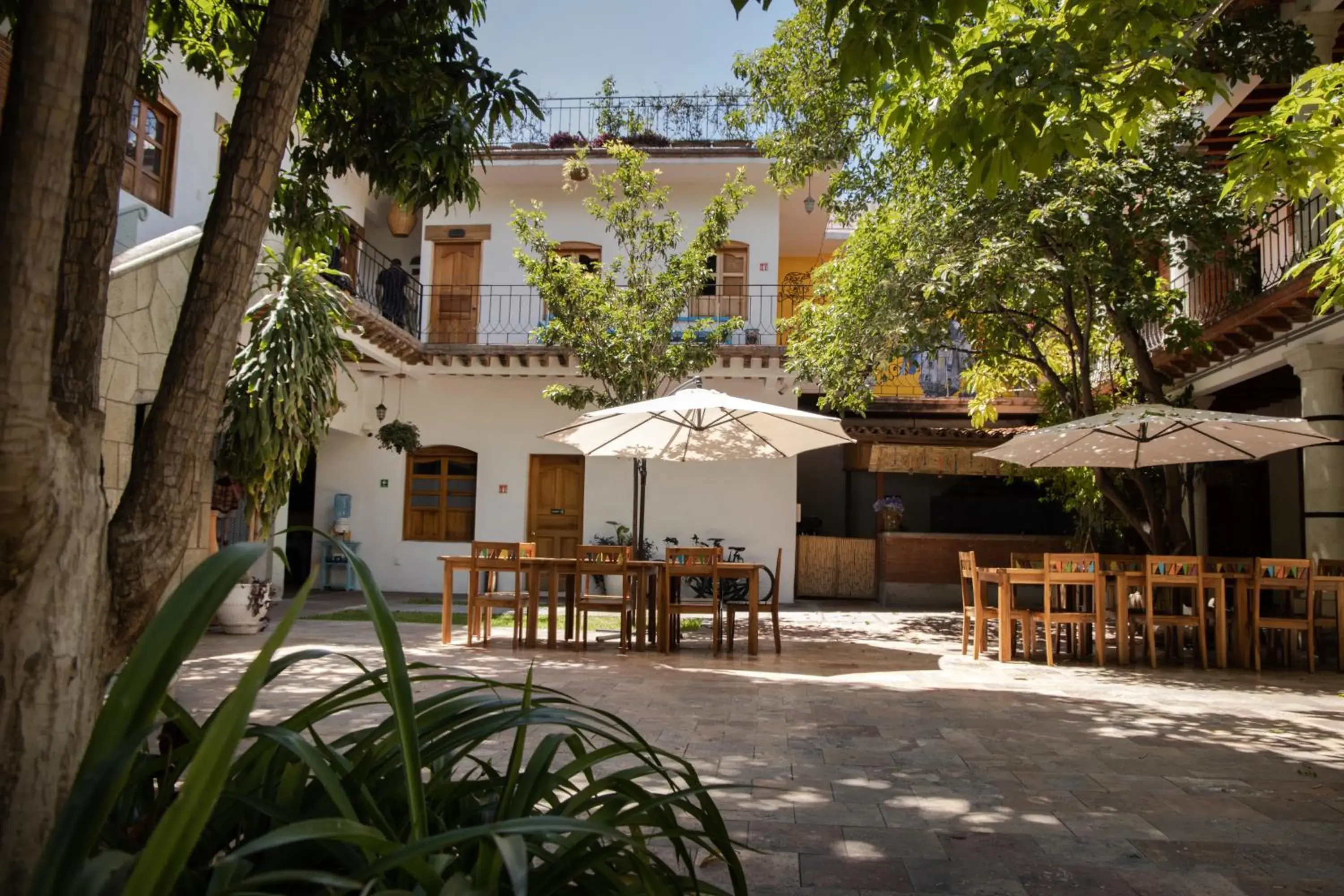 Patio, Property Building in NaNa Vida Hotel Oaxaca