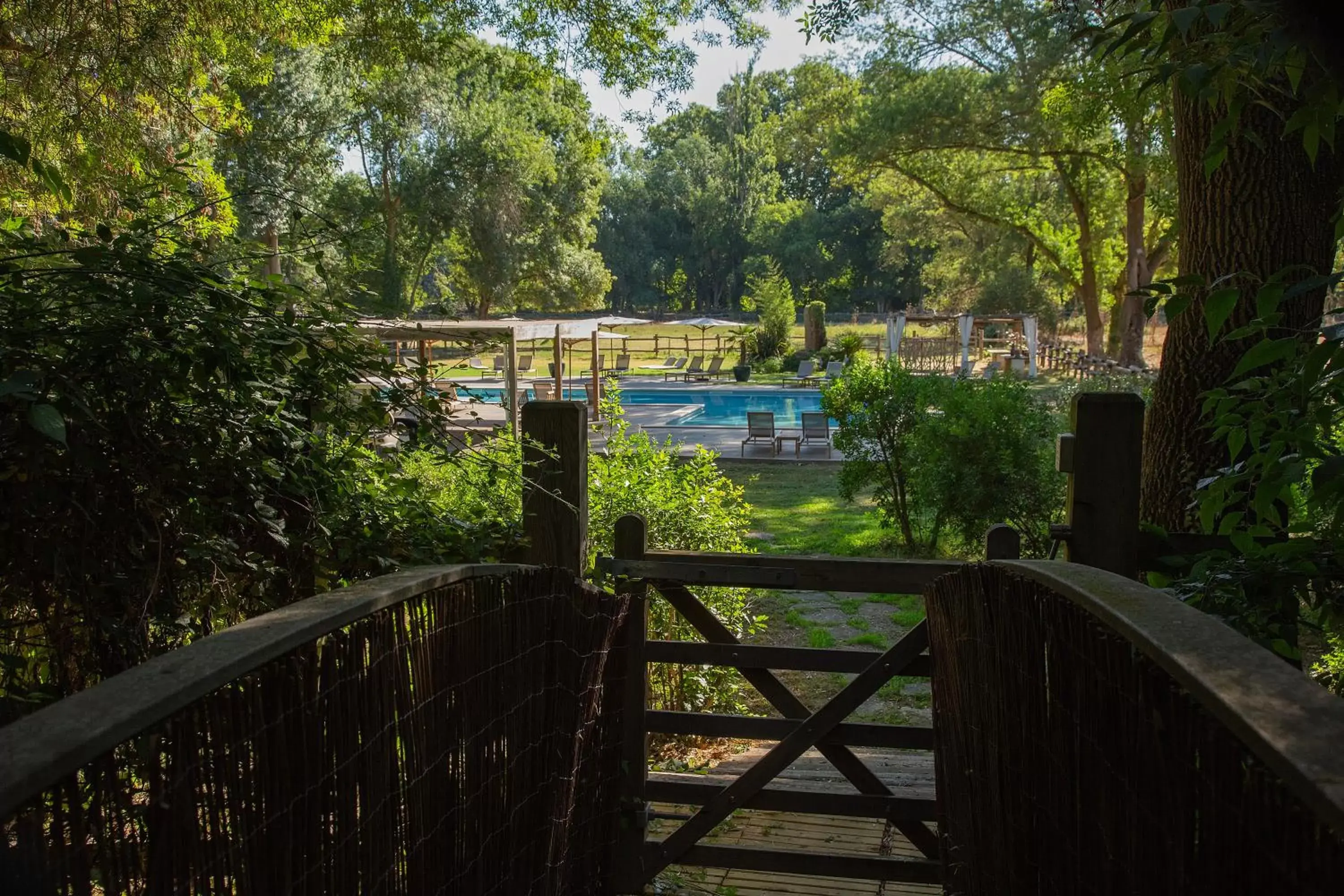 Swimming pool, Balcony/Terrace in Domaine de Biar