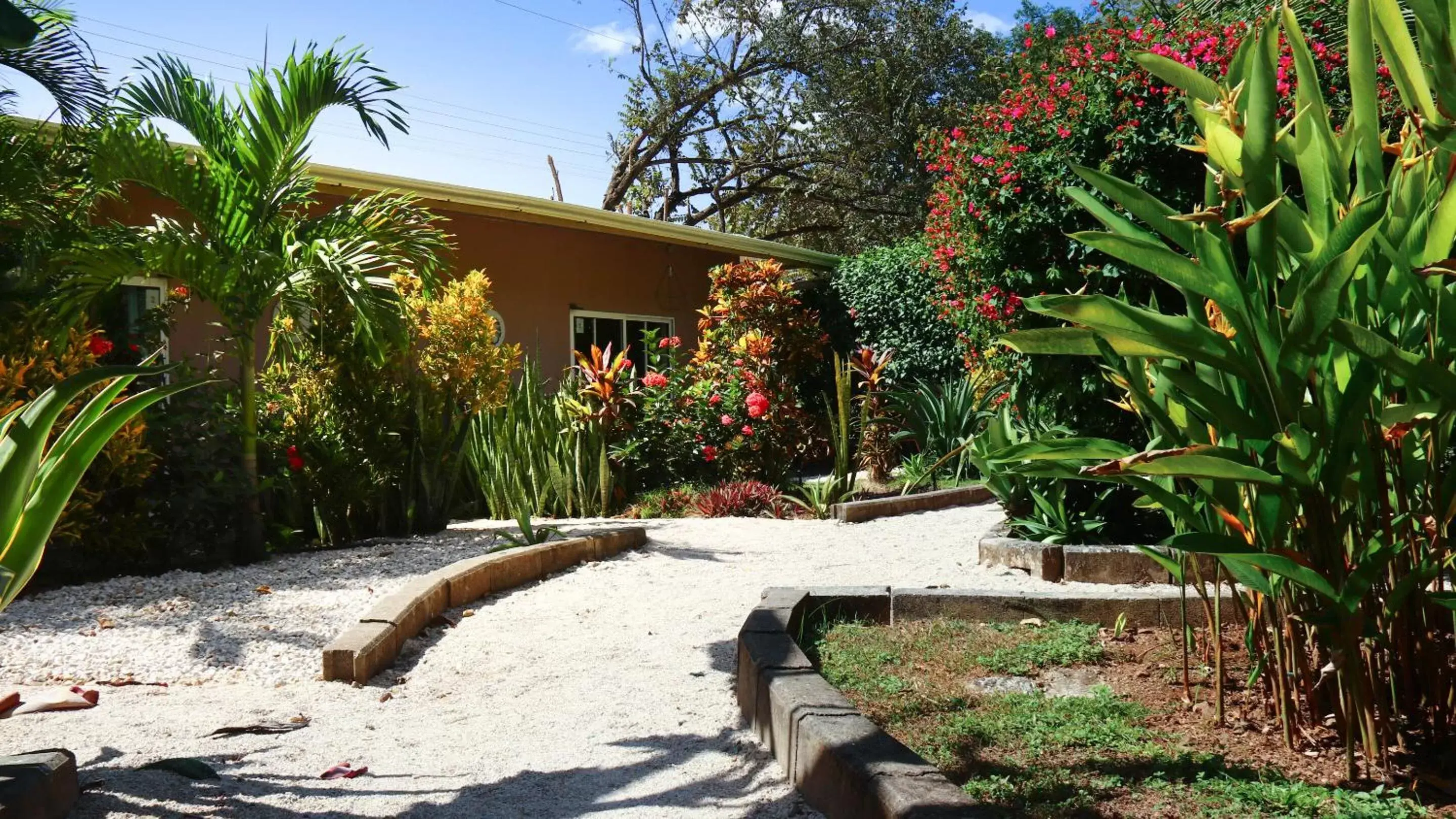 Garden, Property Building in Tee-K Lodge Tamarindo