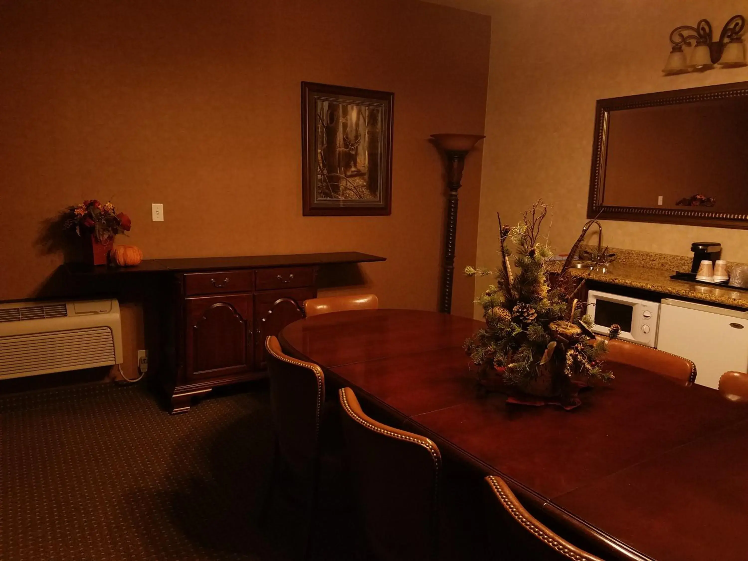 Kitchen or kitchenette, TV/Entertainment Center in Rushmore Express & Suites